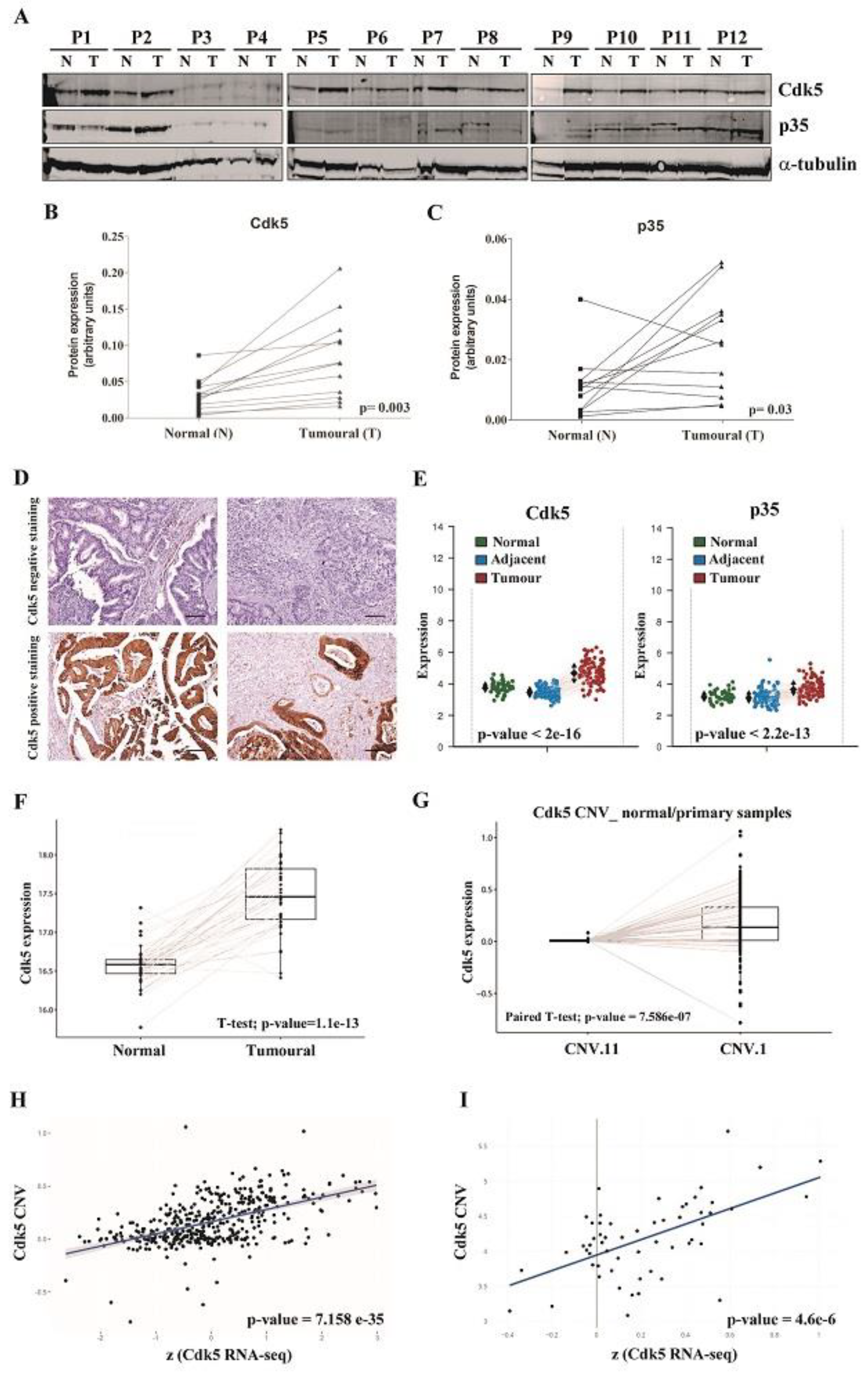 Cancers 11 01540 g003