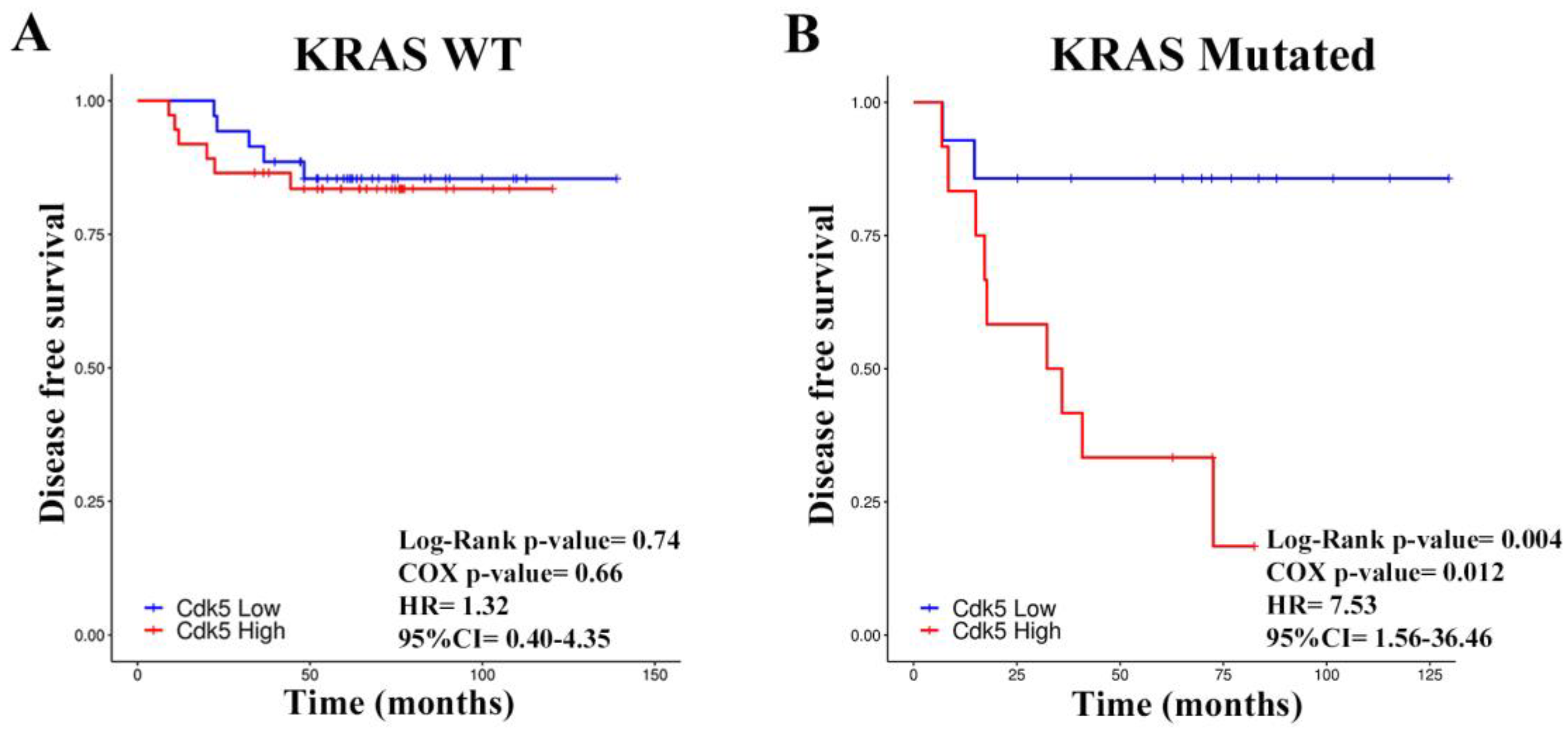 Cancers 11 01540 g005