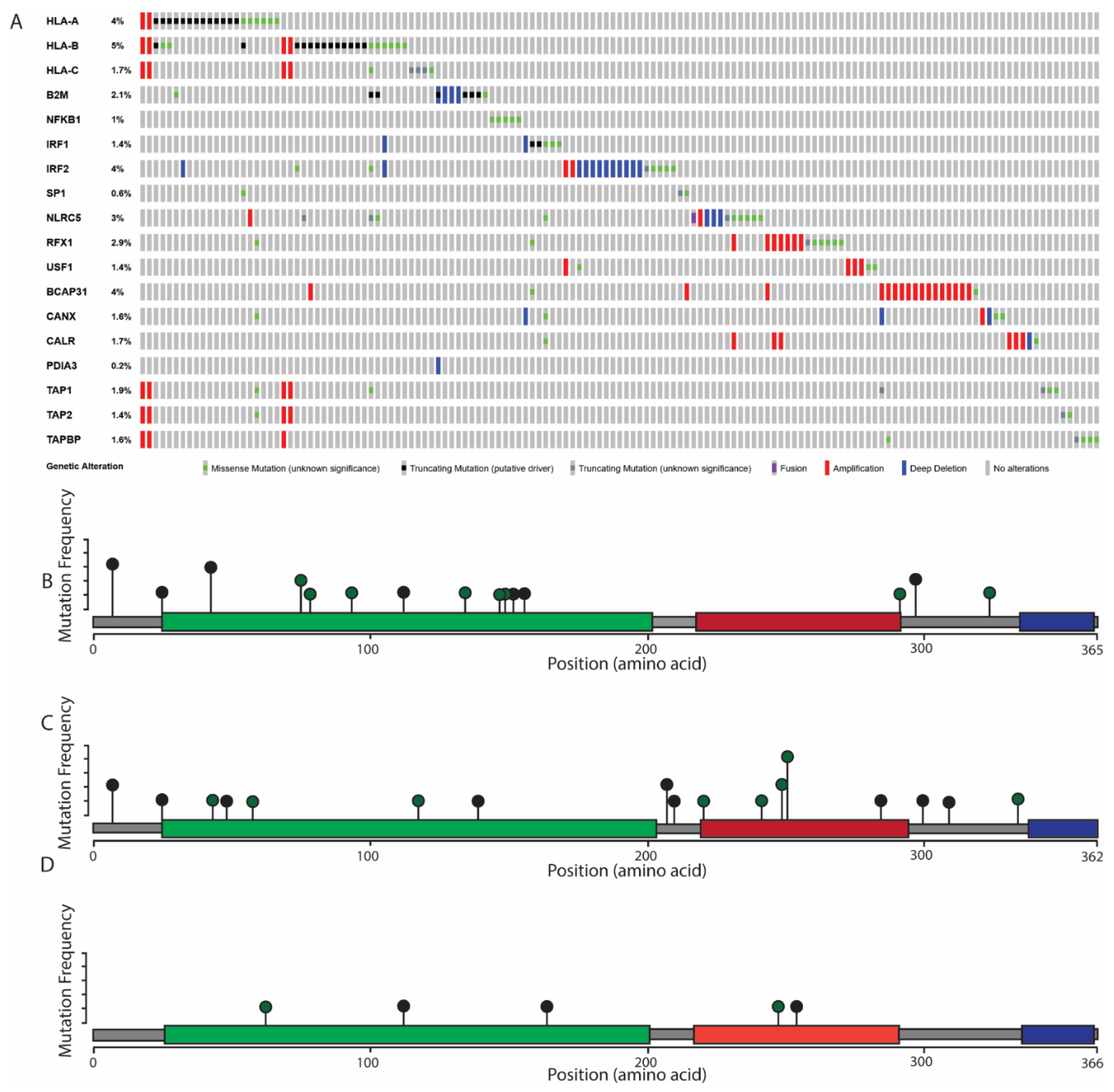 Cancers 11 01543 g002a Cancers 11 01543 g002a