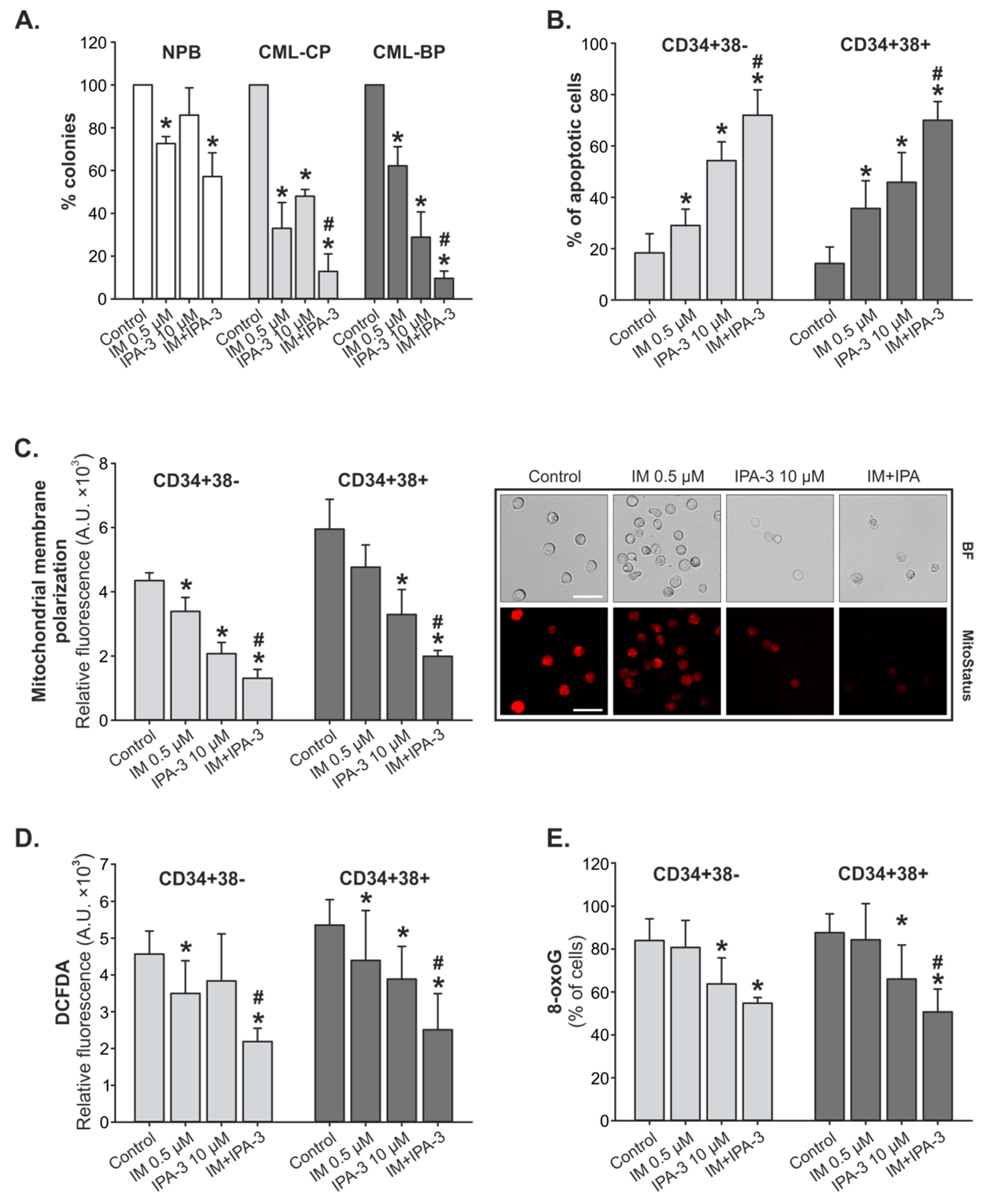 Cancers 11 01544 g003 Cancers 11 01544 g003