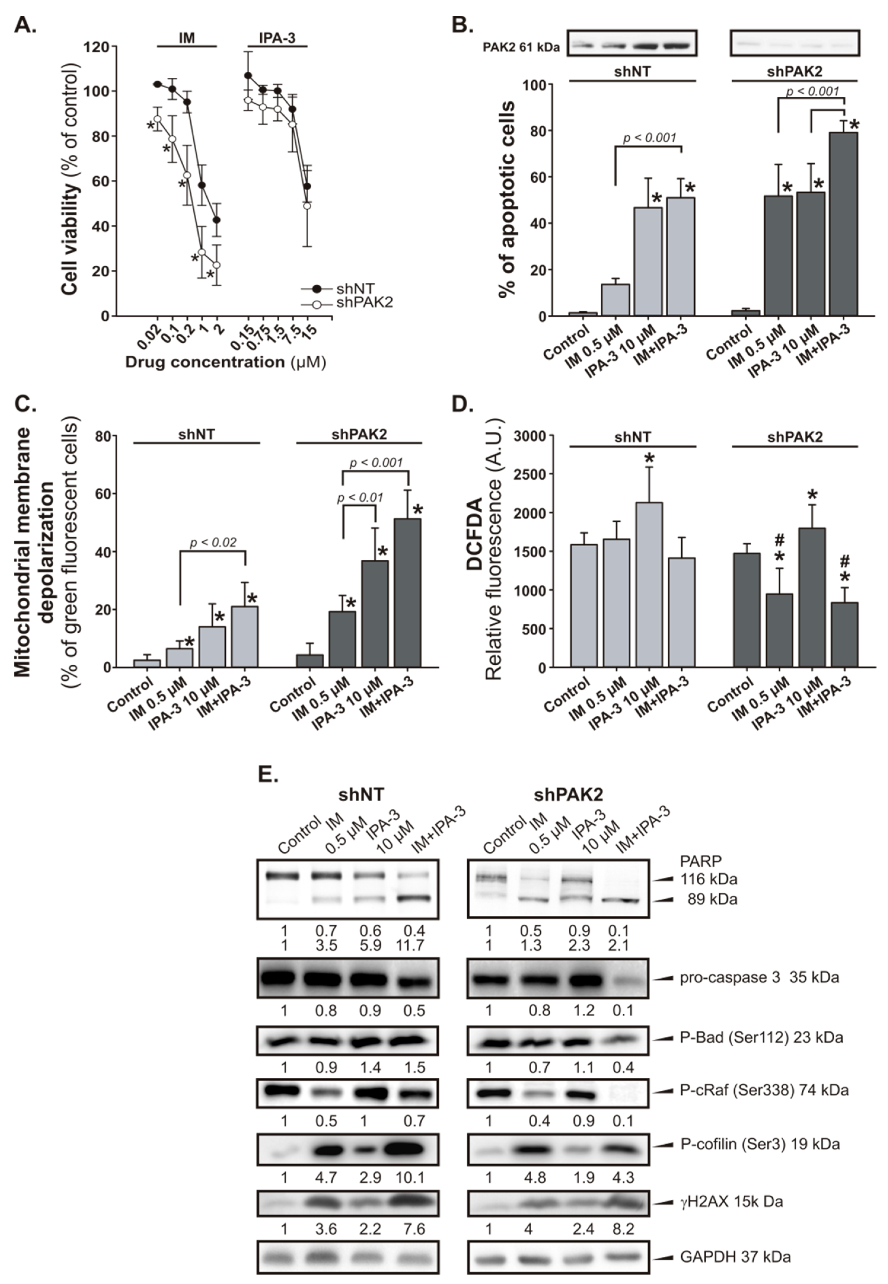 Cancers 11 01544 g004 Cancers 11 01544 g004
