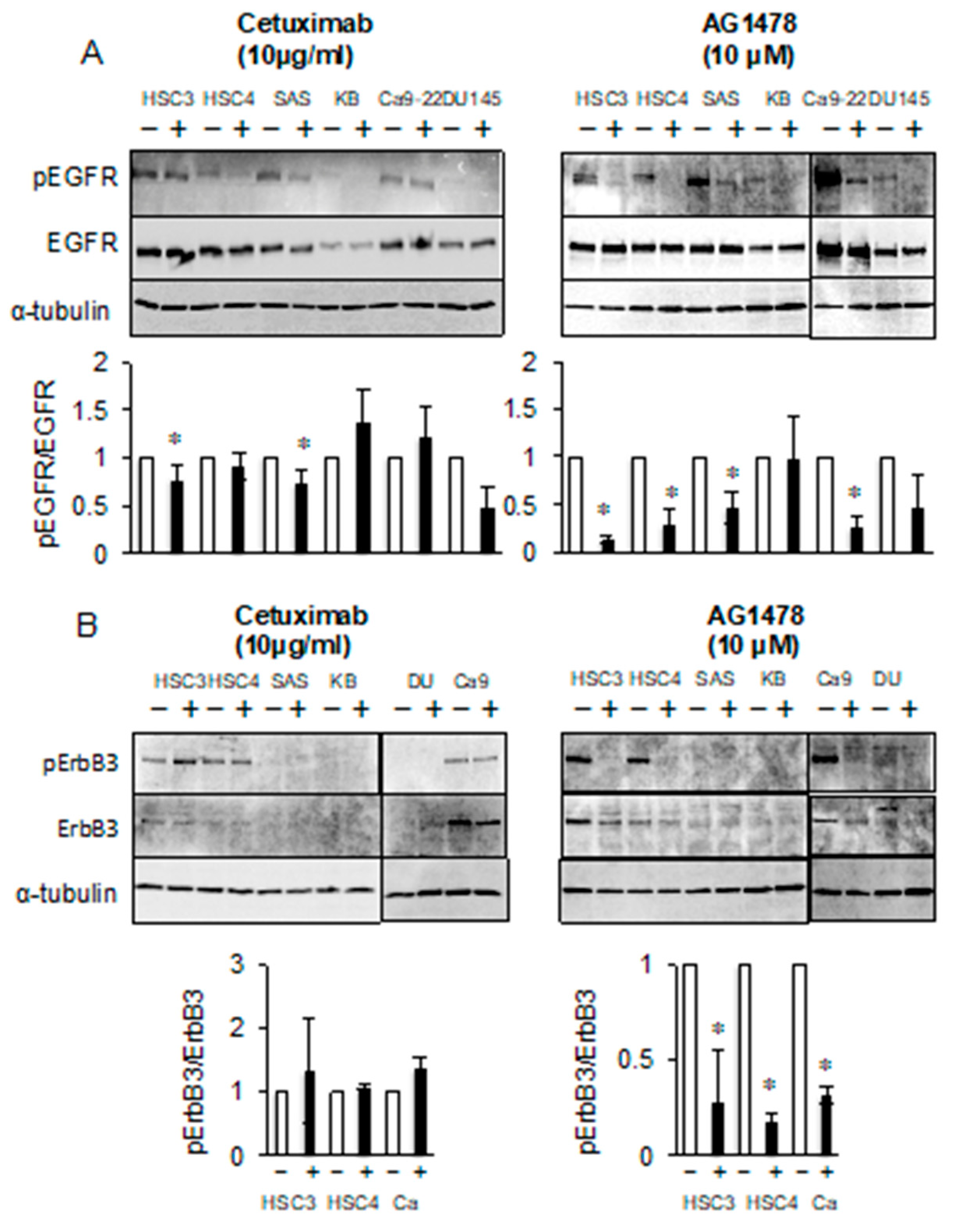 Cancers 11 01552 g002 Cancers 11 01552 g002