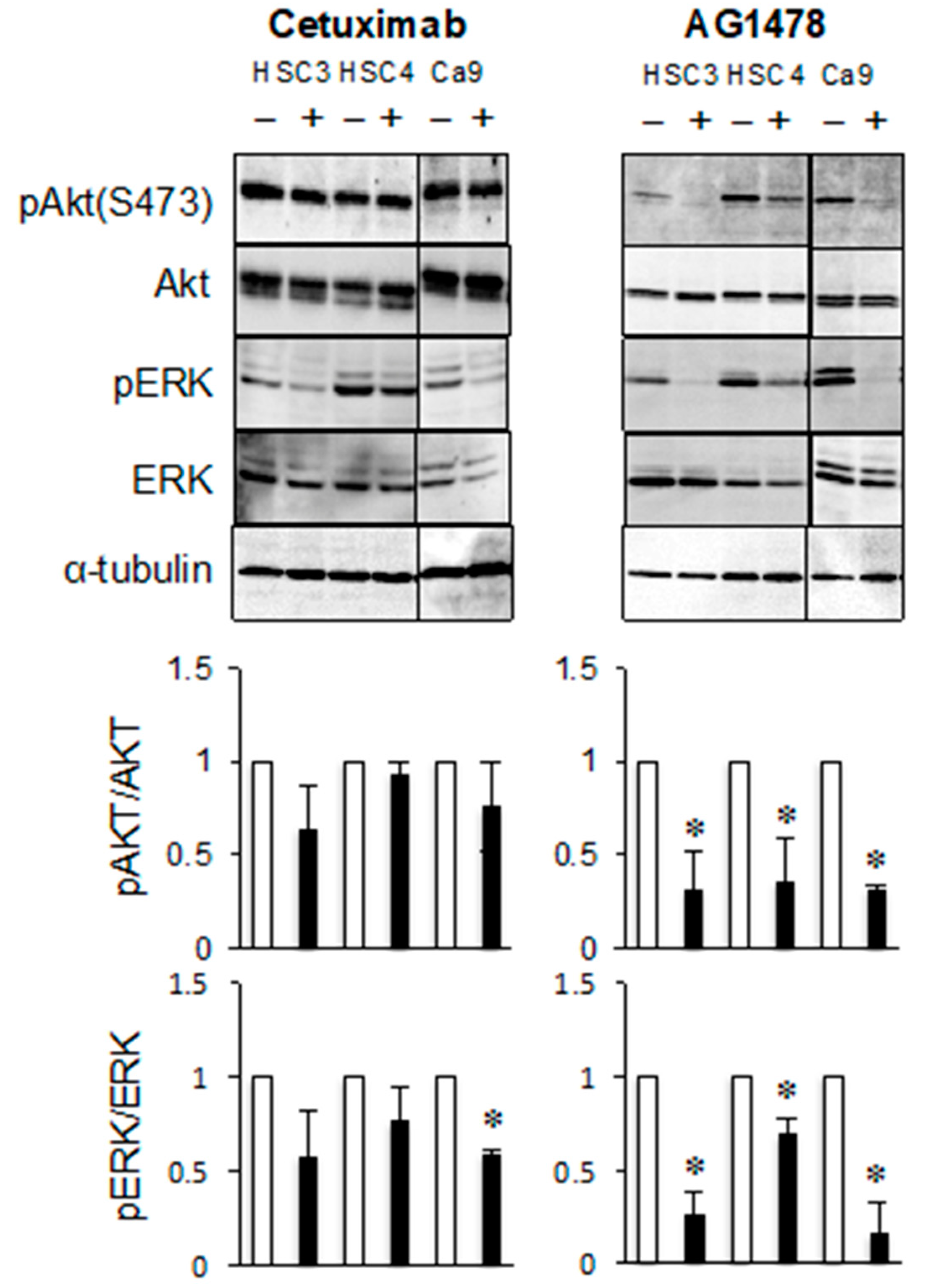 Cancers 11 01552 g003 Cancers 11 01552 g003
