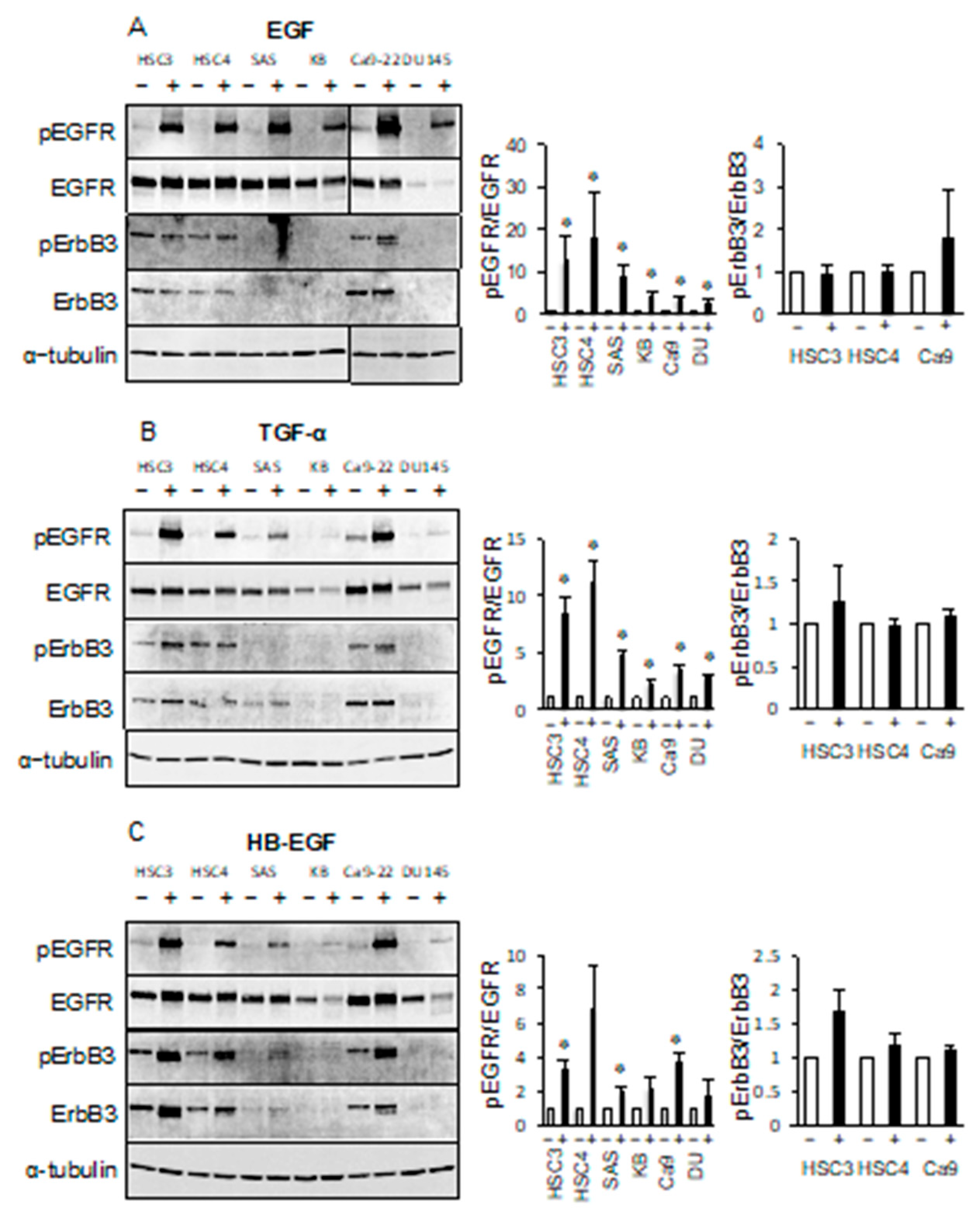 Cancers 11 01552 g004 Cancers 11 01552 g004