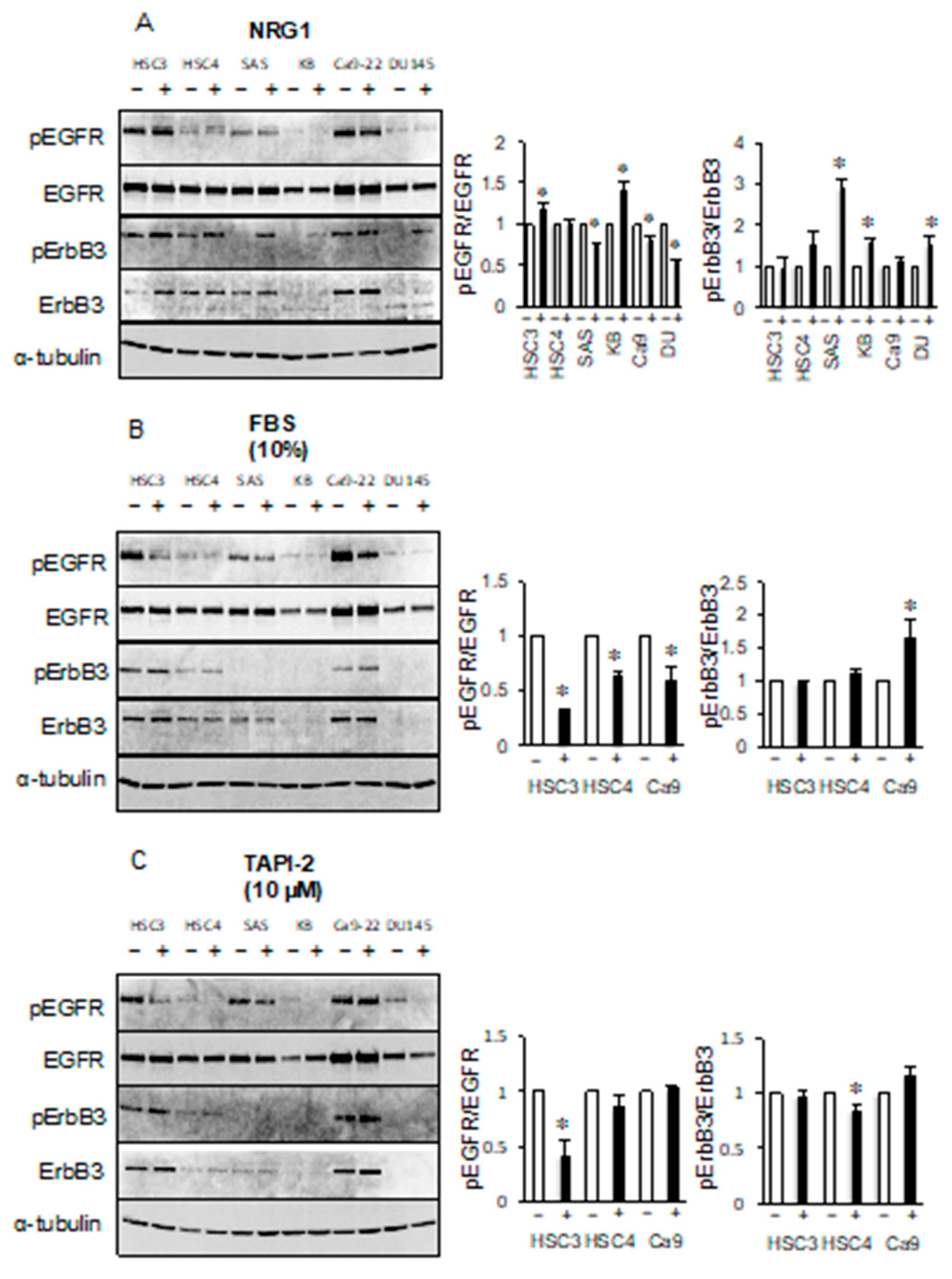 Cancers 11 01552 g005 Cancers 11 01552 g005