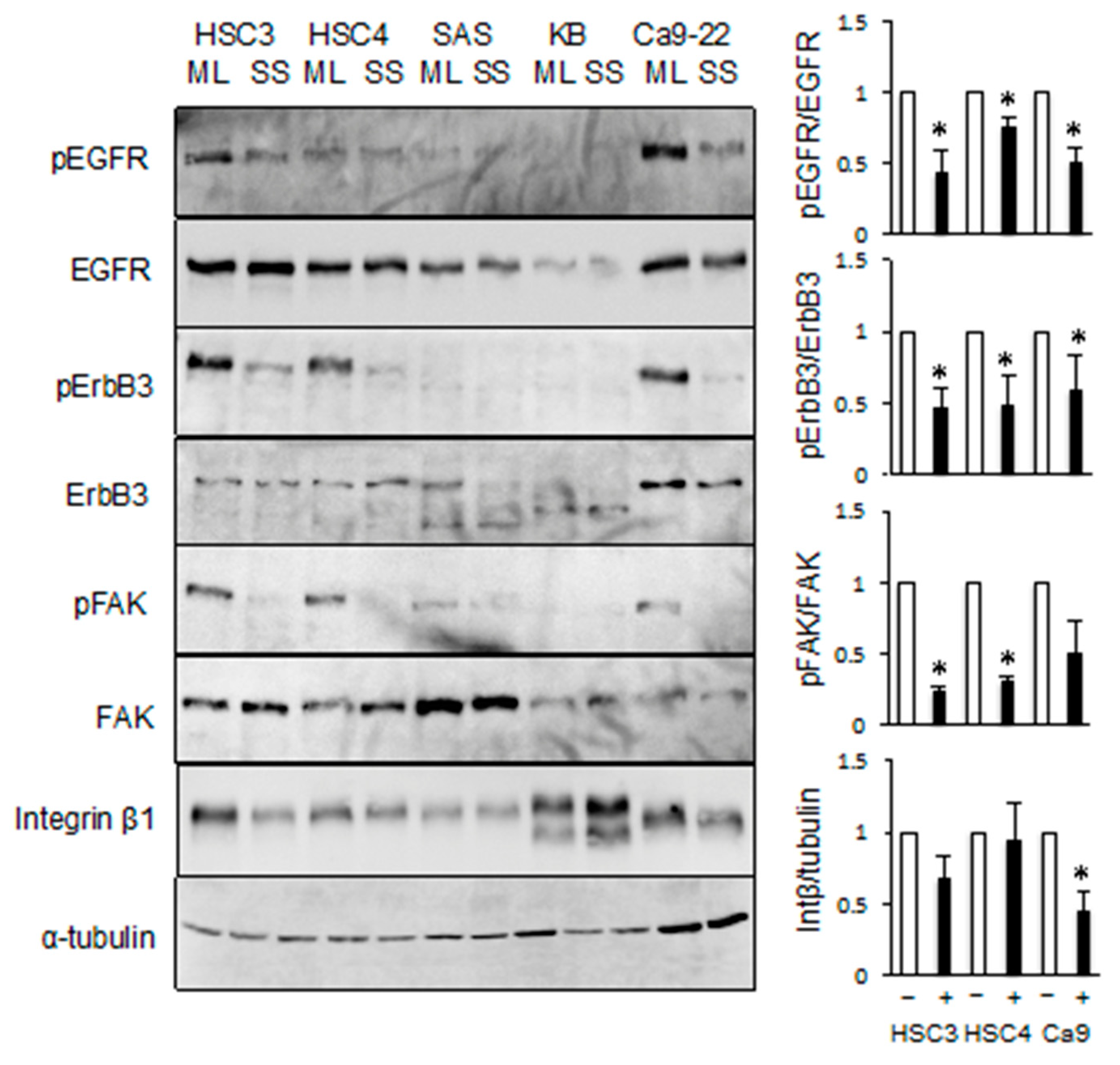 Cancers 11 01552 g006 Cancers 11 01552 g006