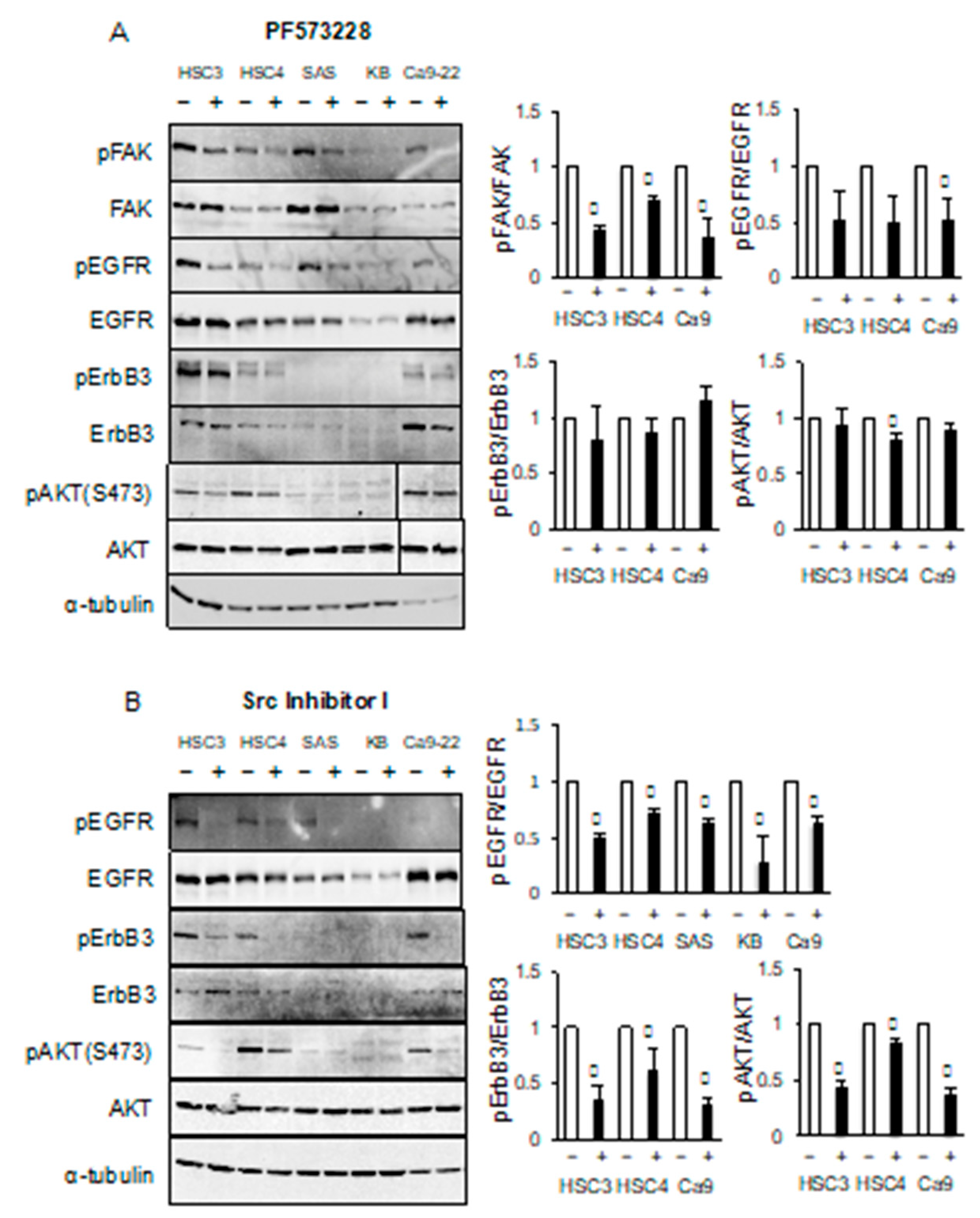Cancers 11 01552 g007 Cancers 11 01552 g007
