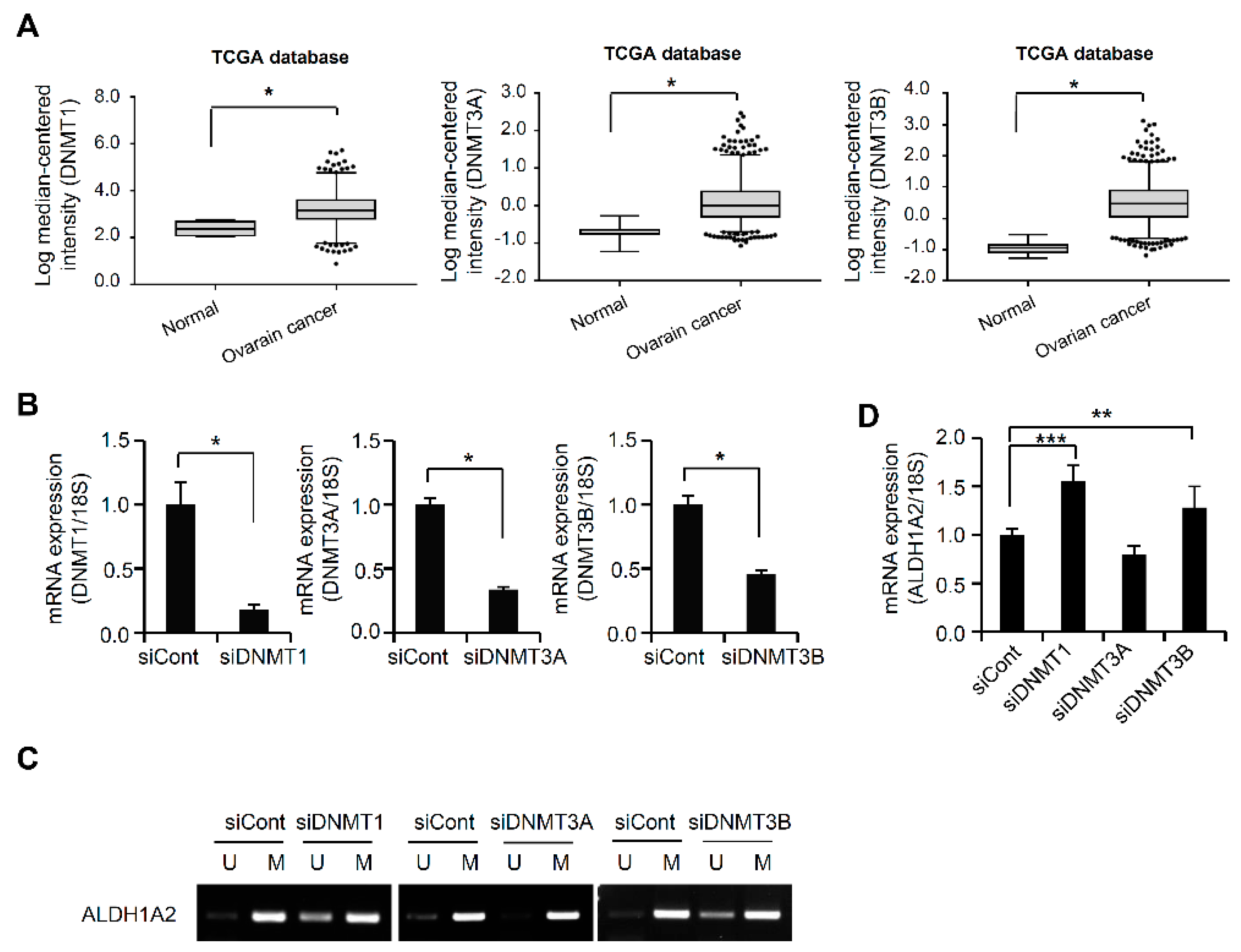 Cancers 11 01553 g003