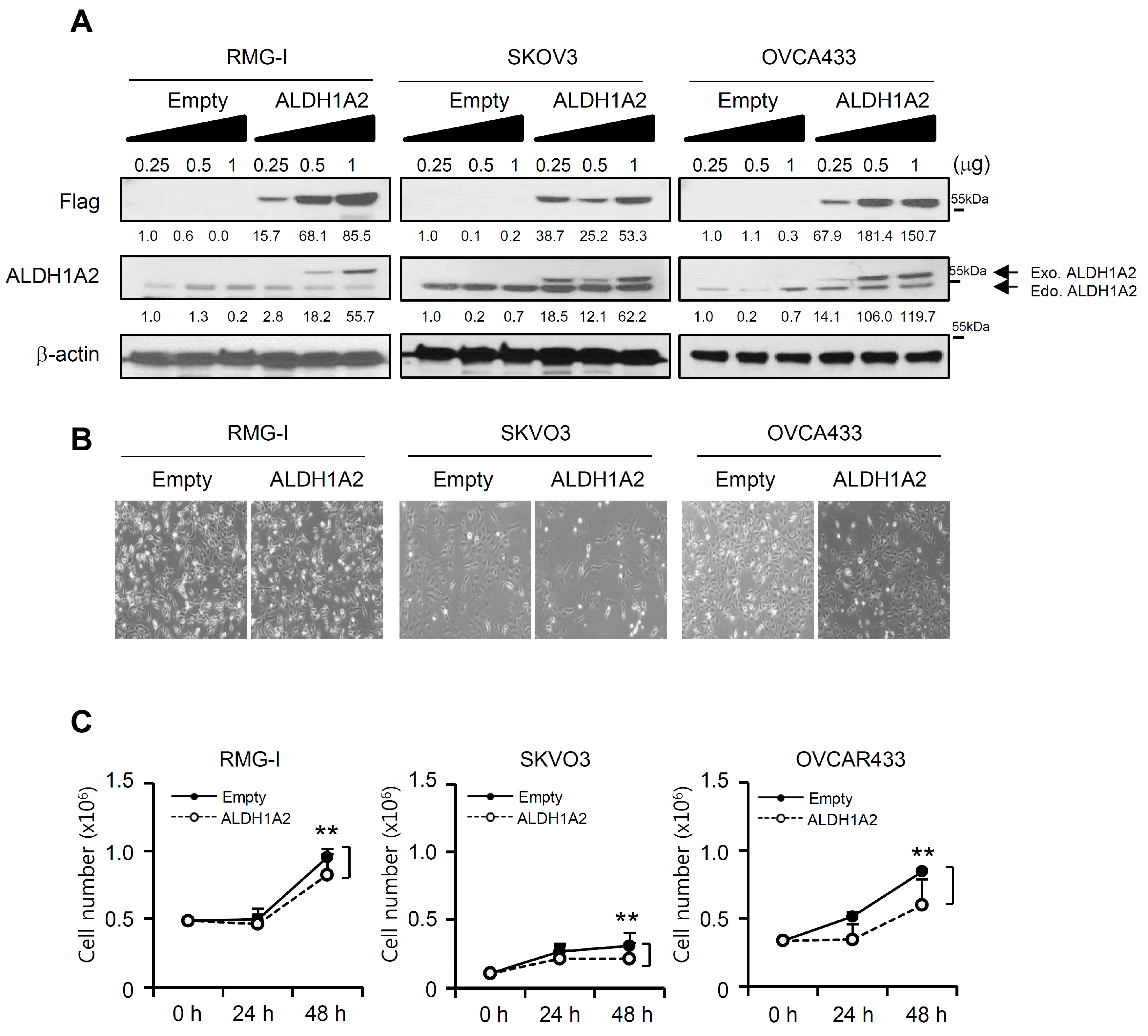Cancers 11 01553 g004