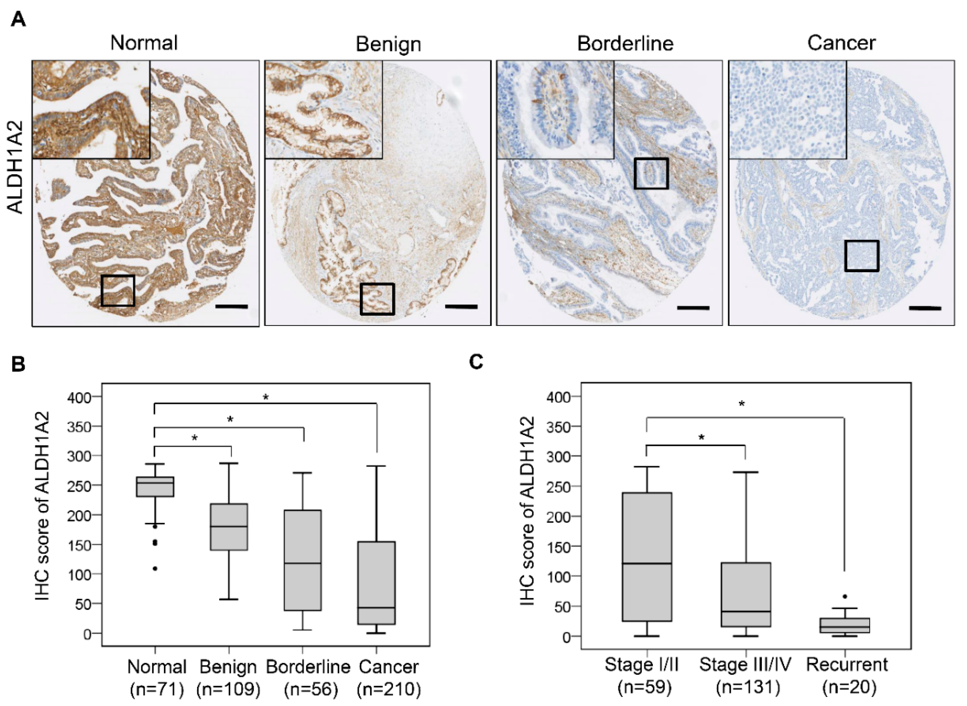 Cancers 11 01553 g006