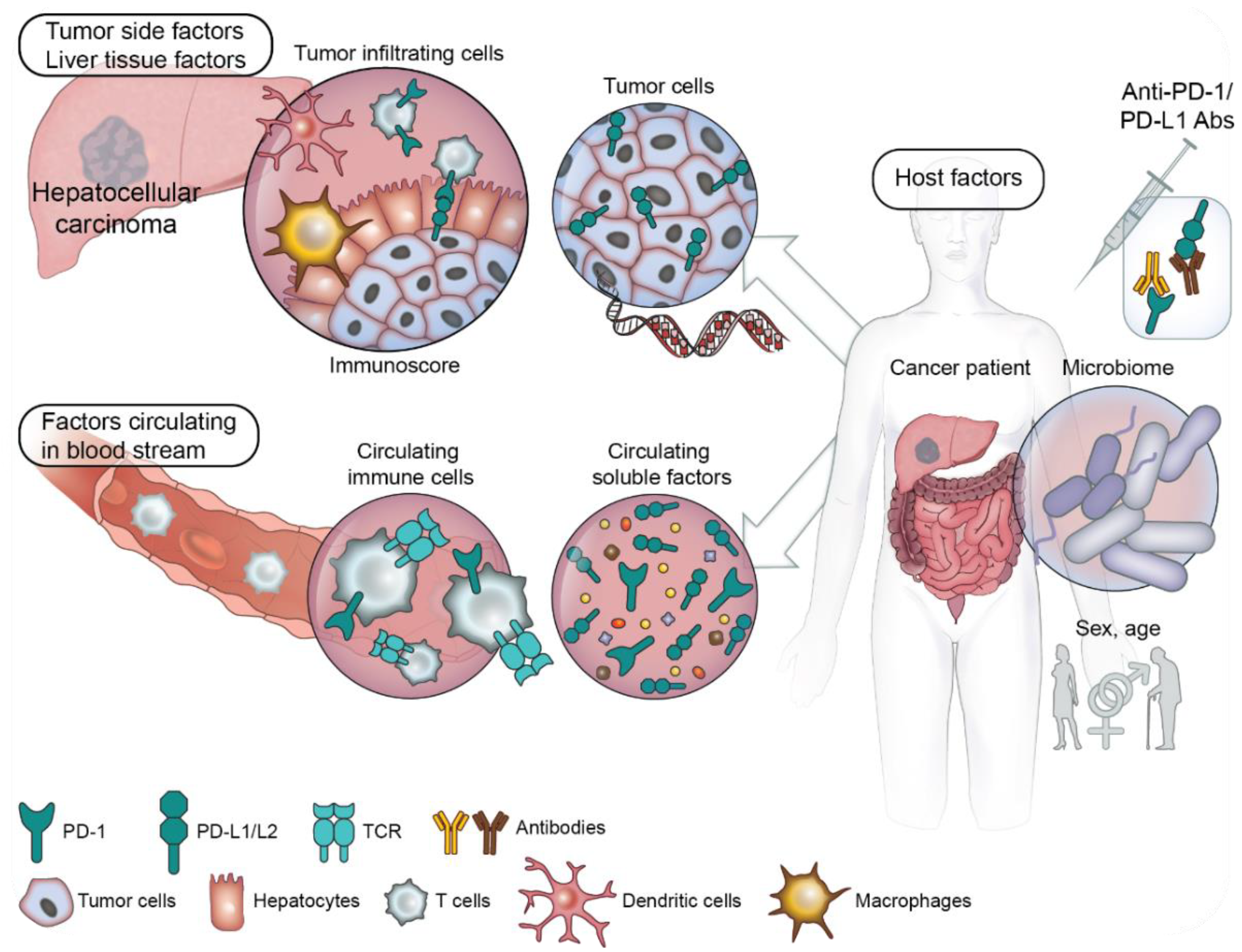 Cancers 11 01554 g001 Cancers 11 01554 g001