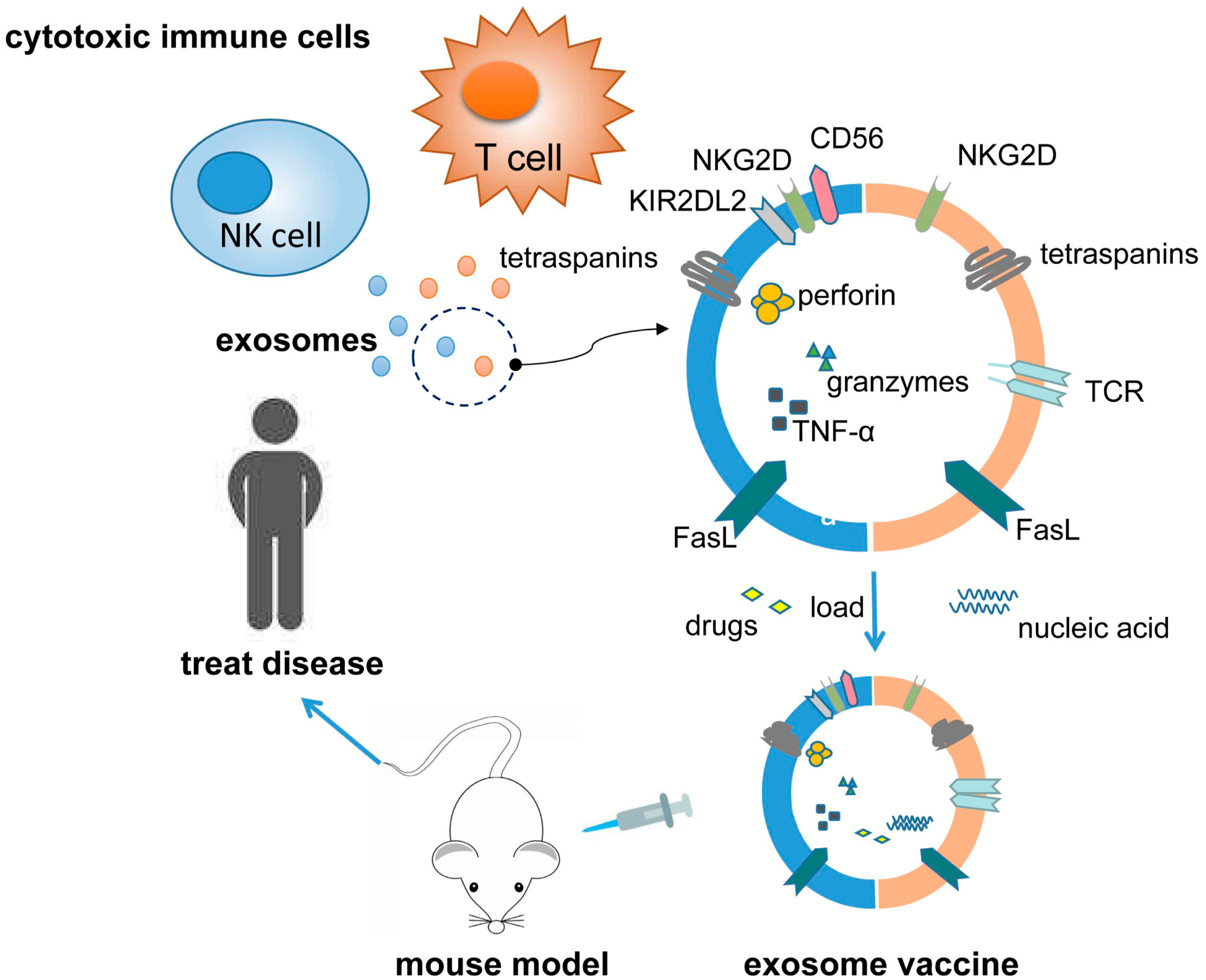 Cancers 11 01557 g002