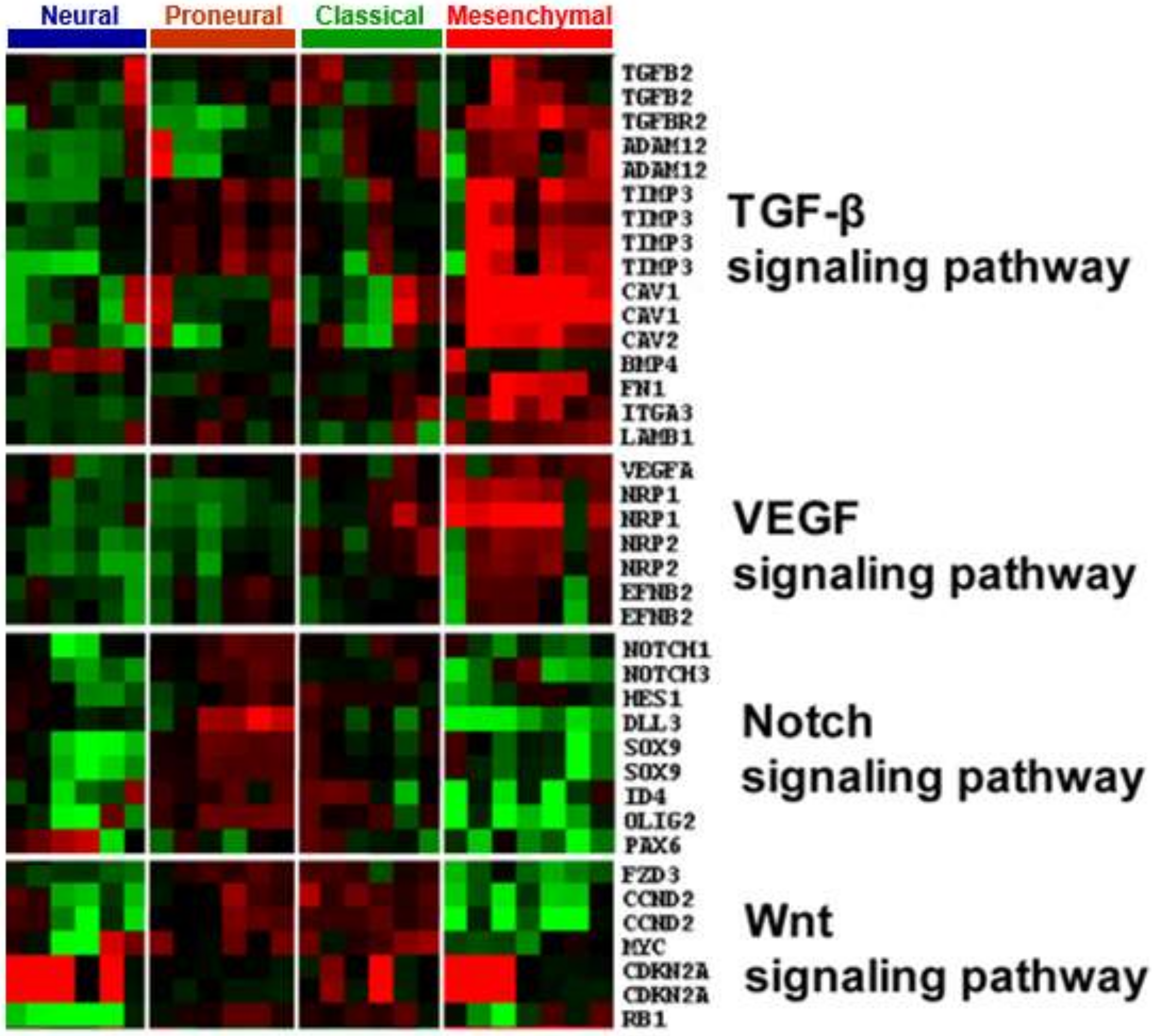 Cancers 11 01564 g006 Cancers 11 01564 g006