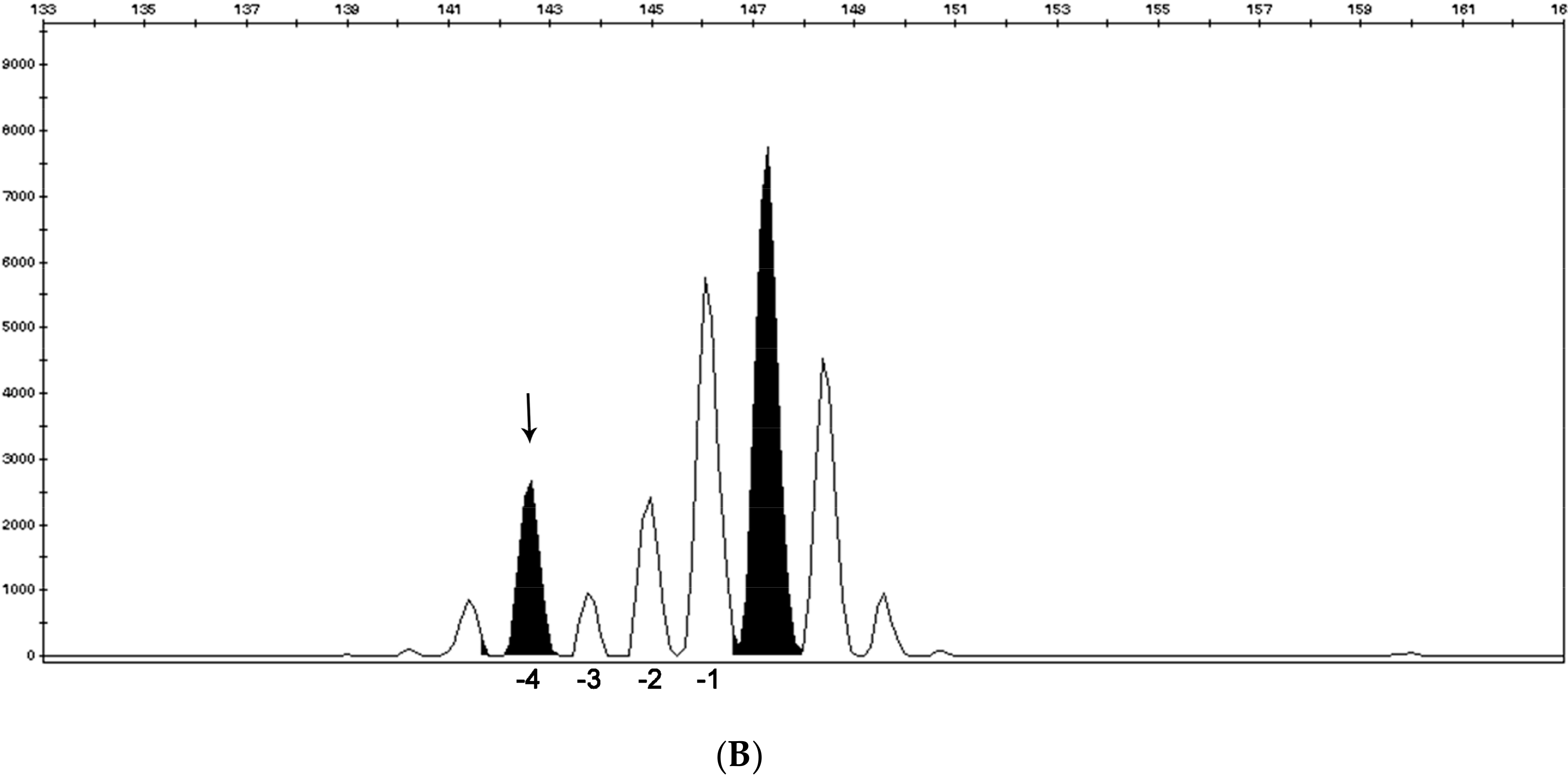 Cancers 11 01567 g008b Cancers 11 01567 g008b