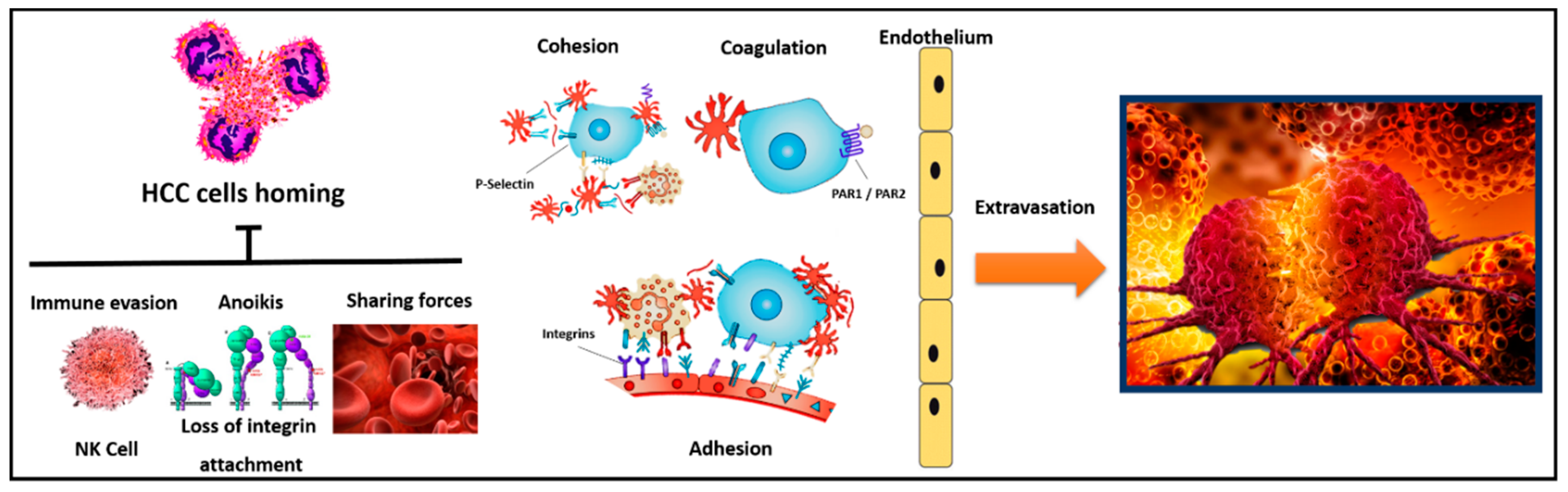 Cancers 11 01568 g002 Cancers 11 01568 g002