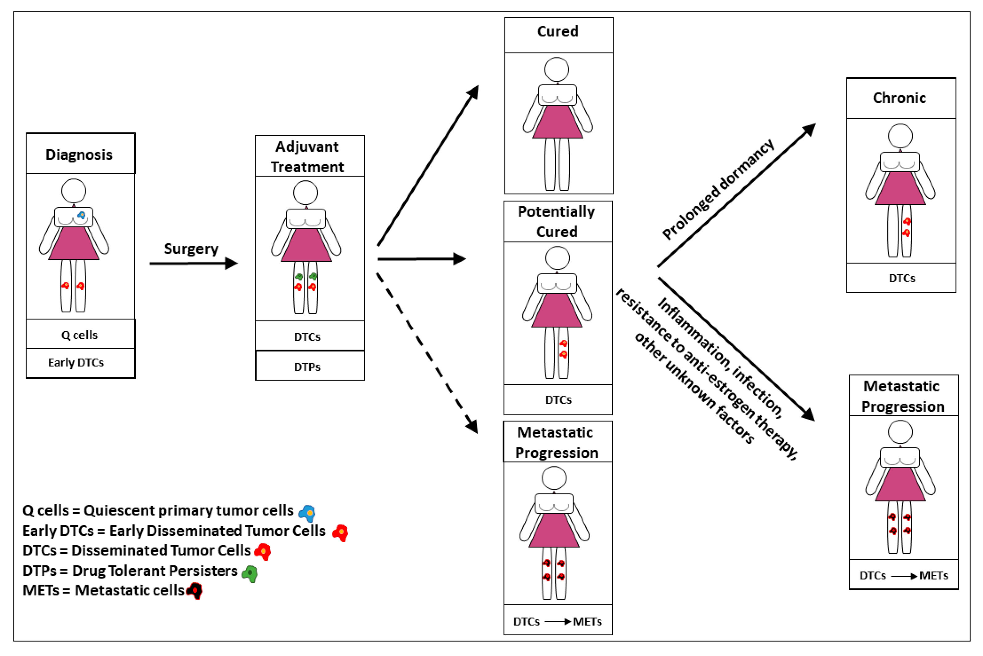 Cancers  Free Full-Text  Breast Cancer Stem Cells as Drivers of 