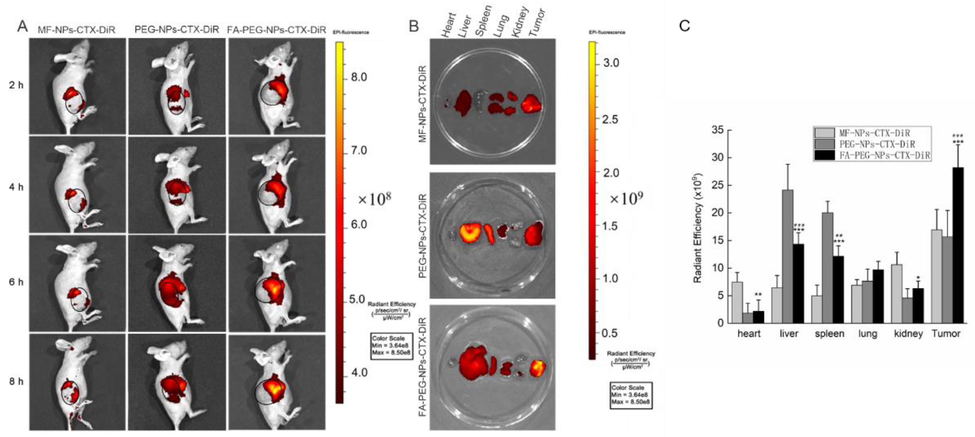 Cancers 11 01571 g005