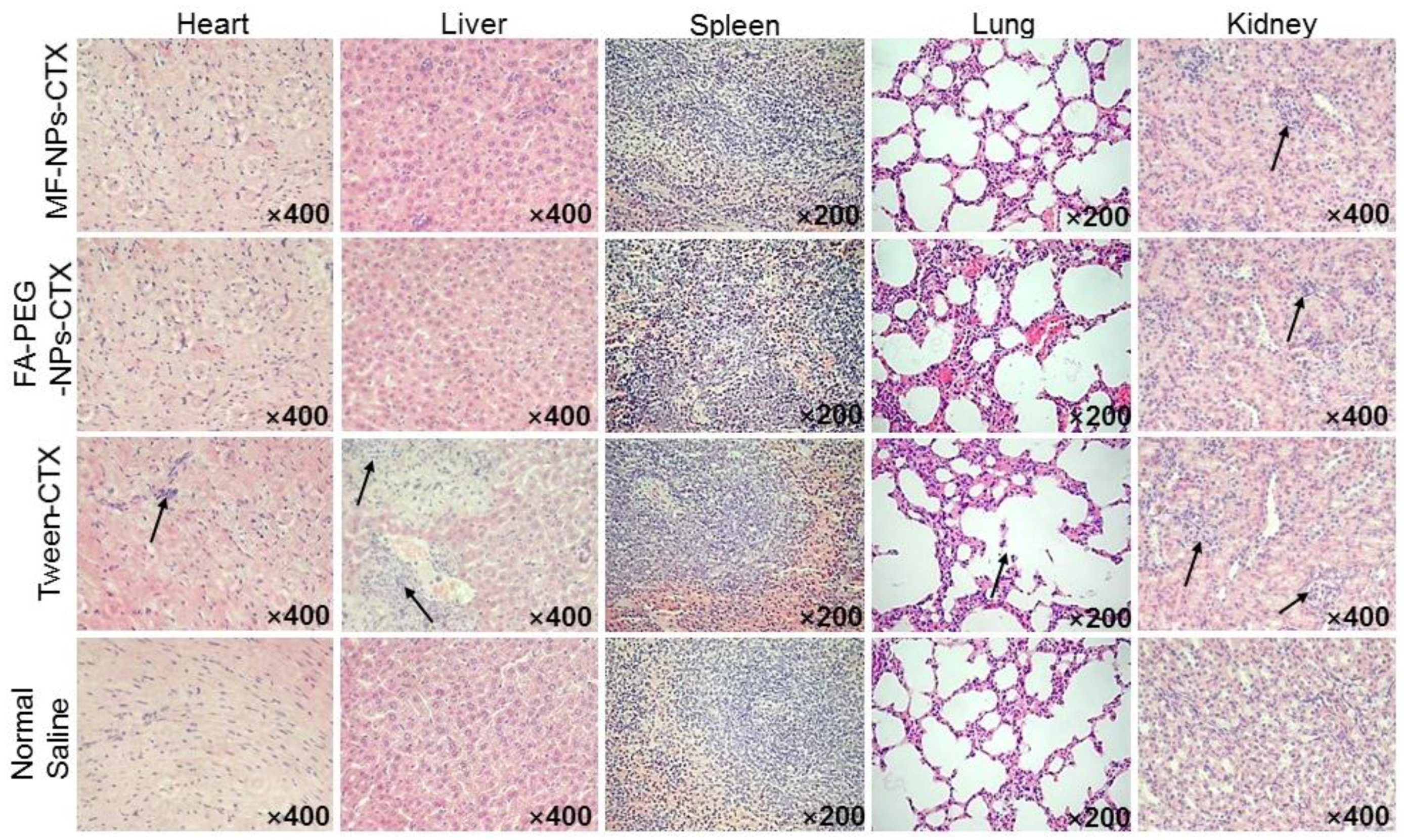 Cancers 11 01571 g007