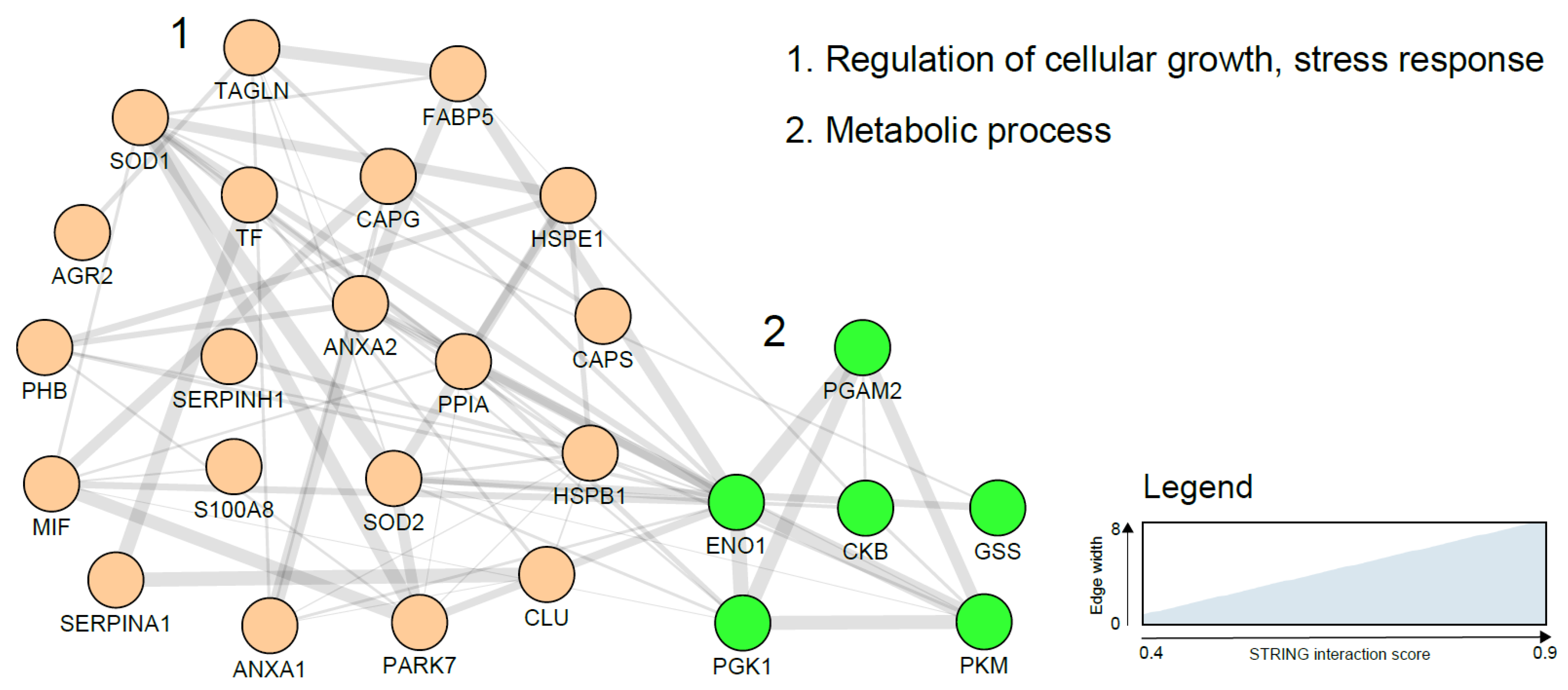 Cancers 11 01572 g002