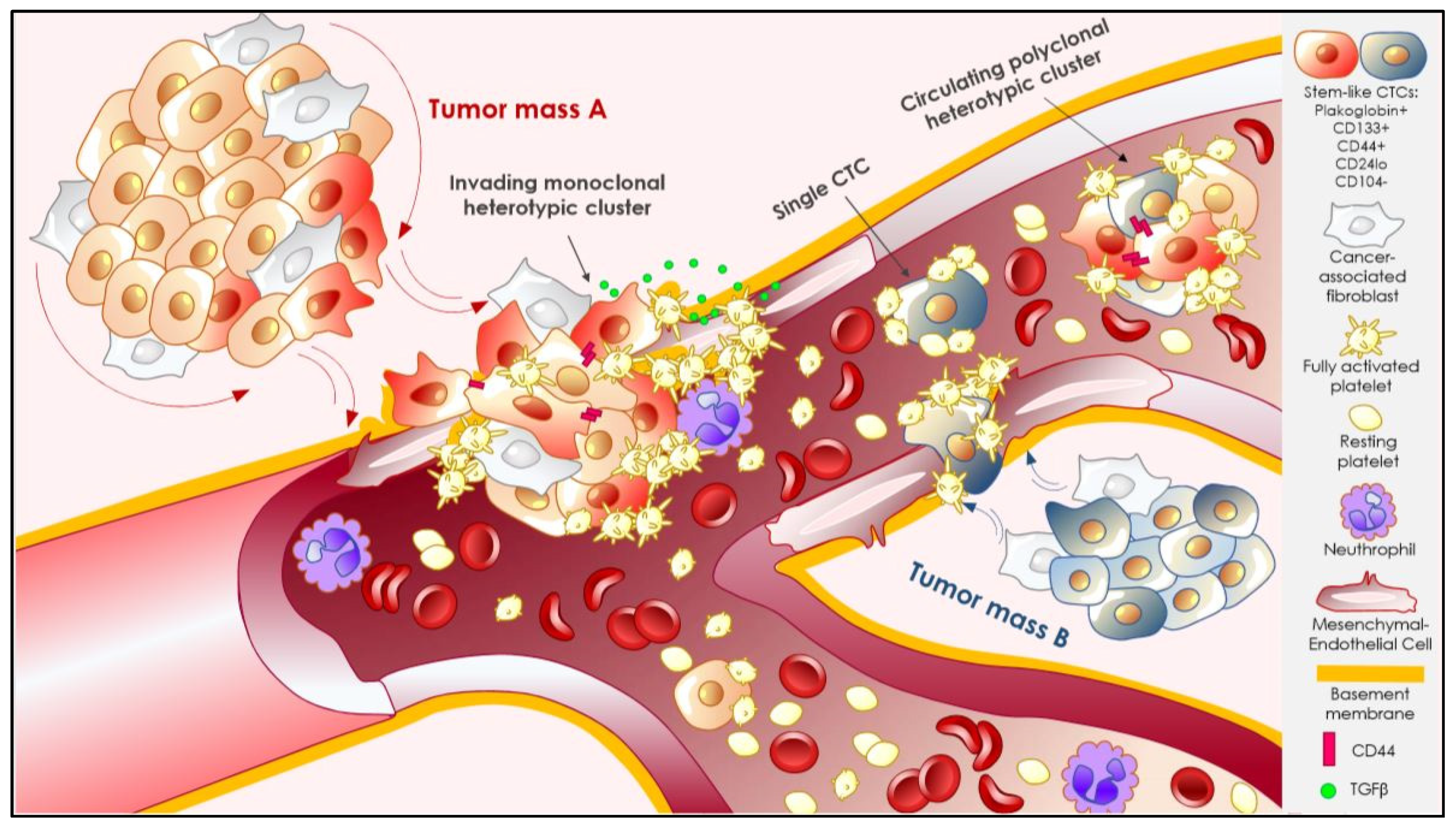Cancers 11 01575 g002 Cancers 11 01575 g002
