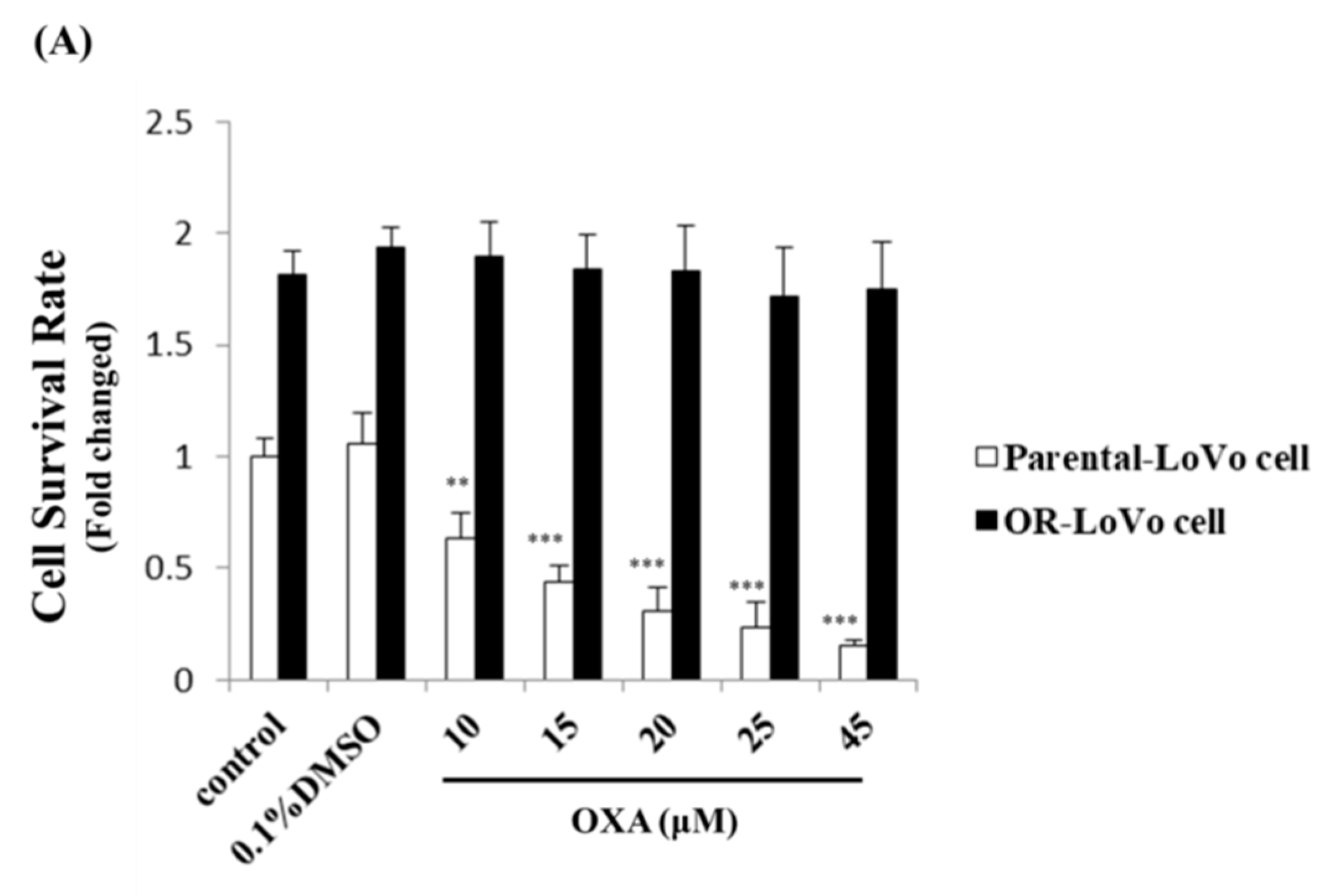 Cancers 11 01576 g001a Cancers 11 01576 g001a