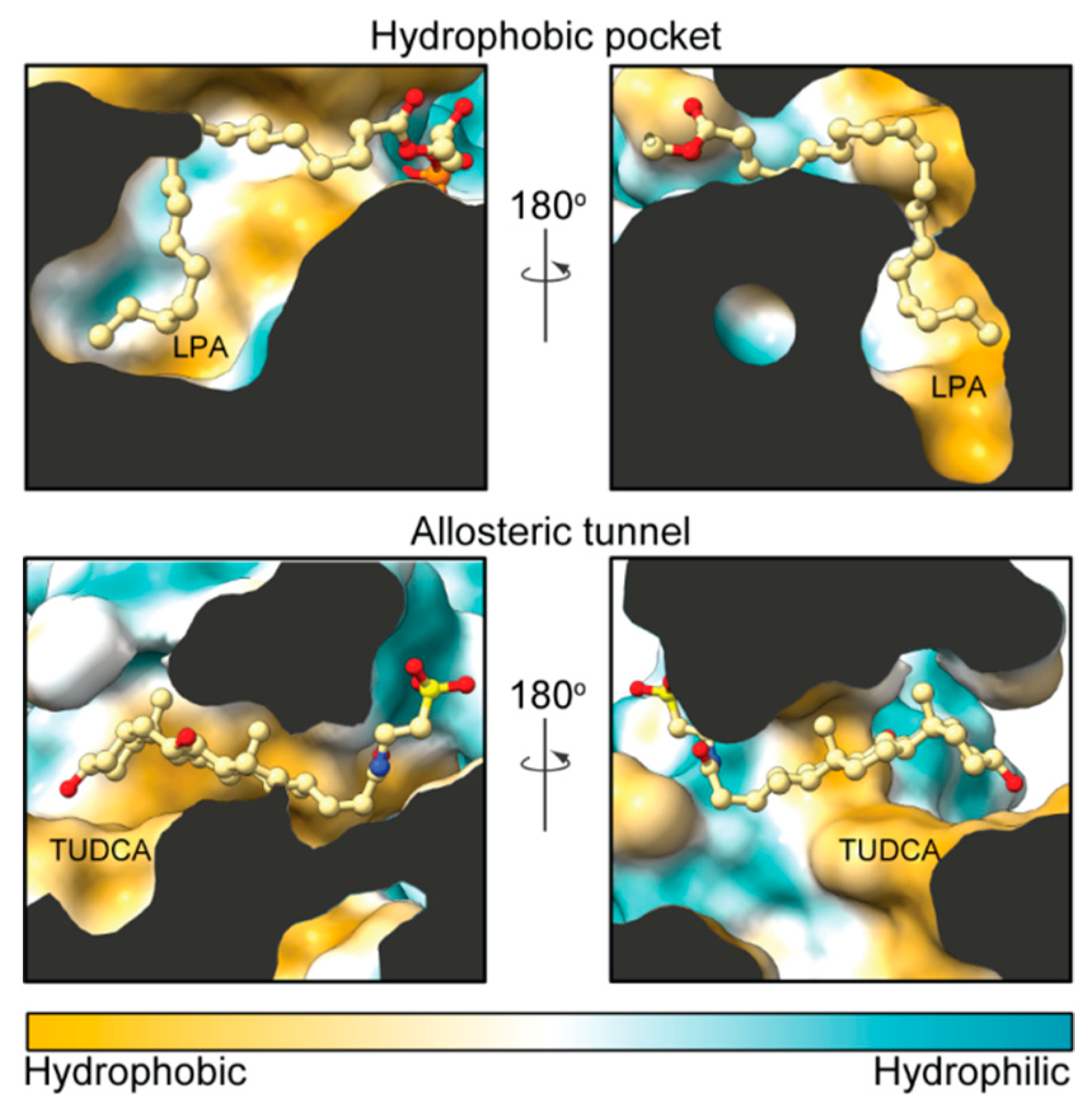 Cancers 11 01577 g002