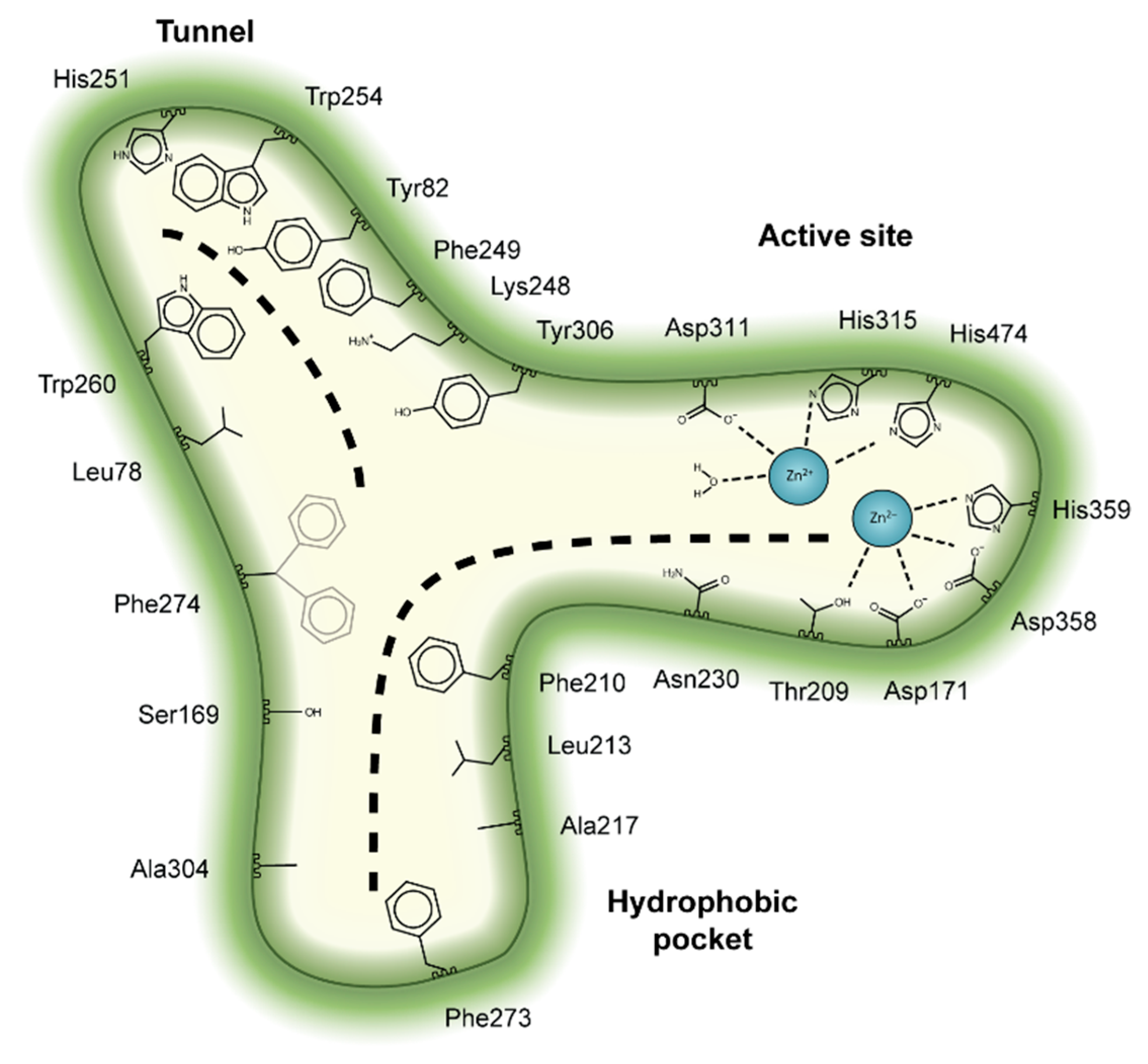 Cancers 11 01577 g003