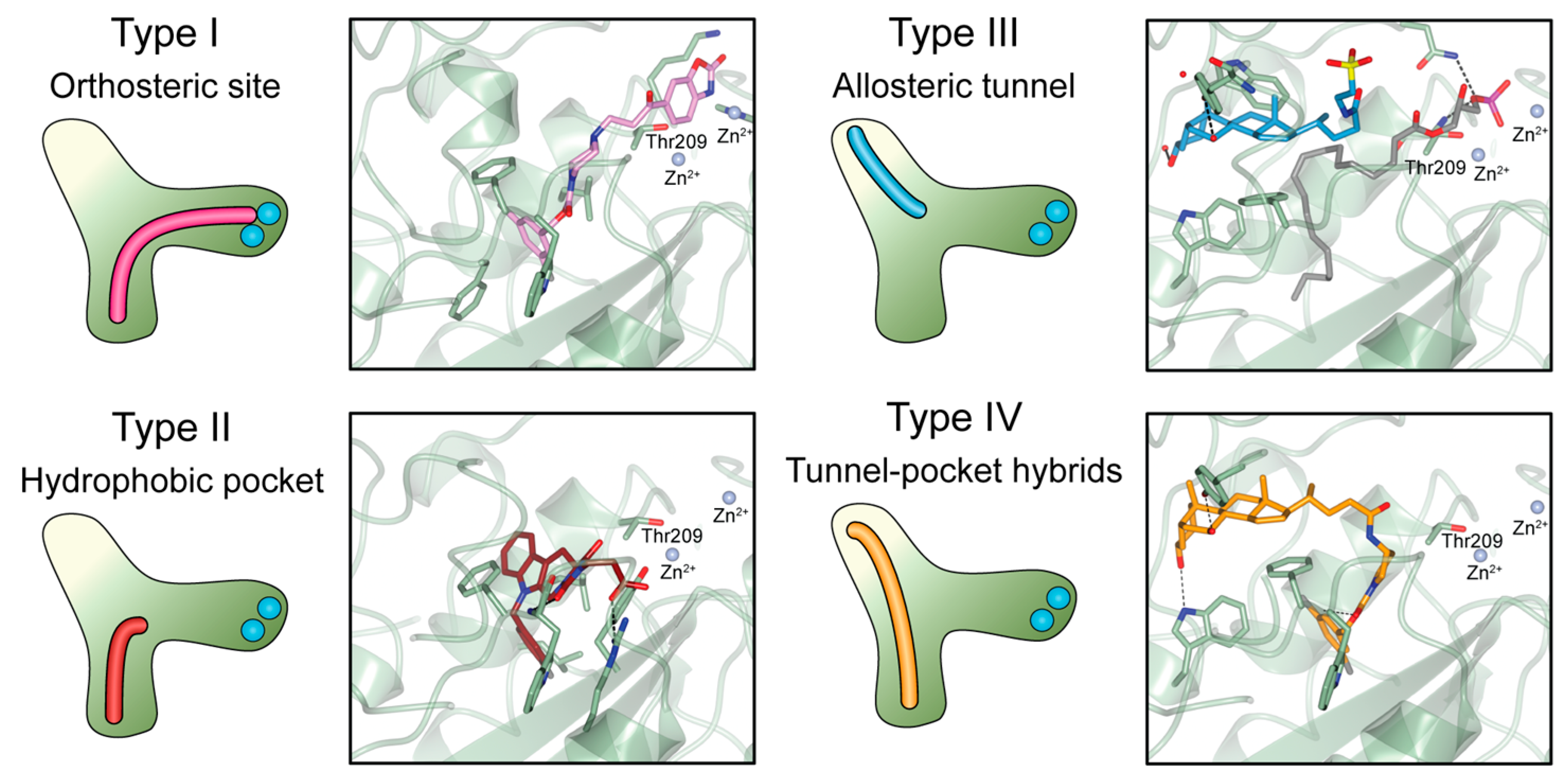Cancers 11 01577 g004