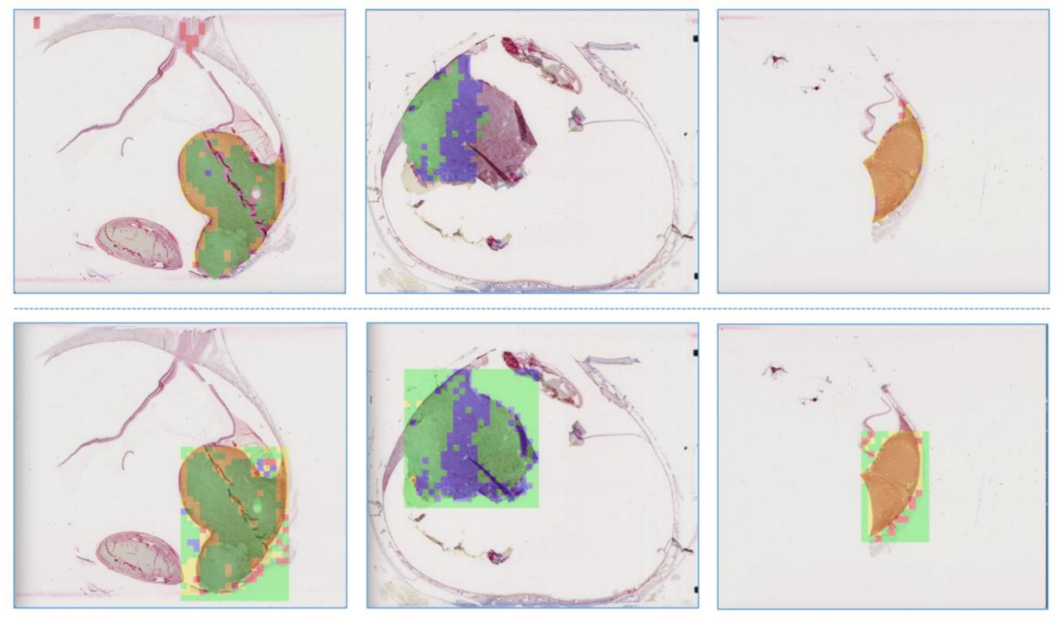 Cancers 11 01579 g007 Cancers 11 01579 g007