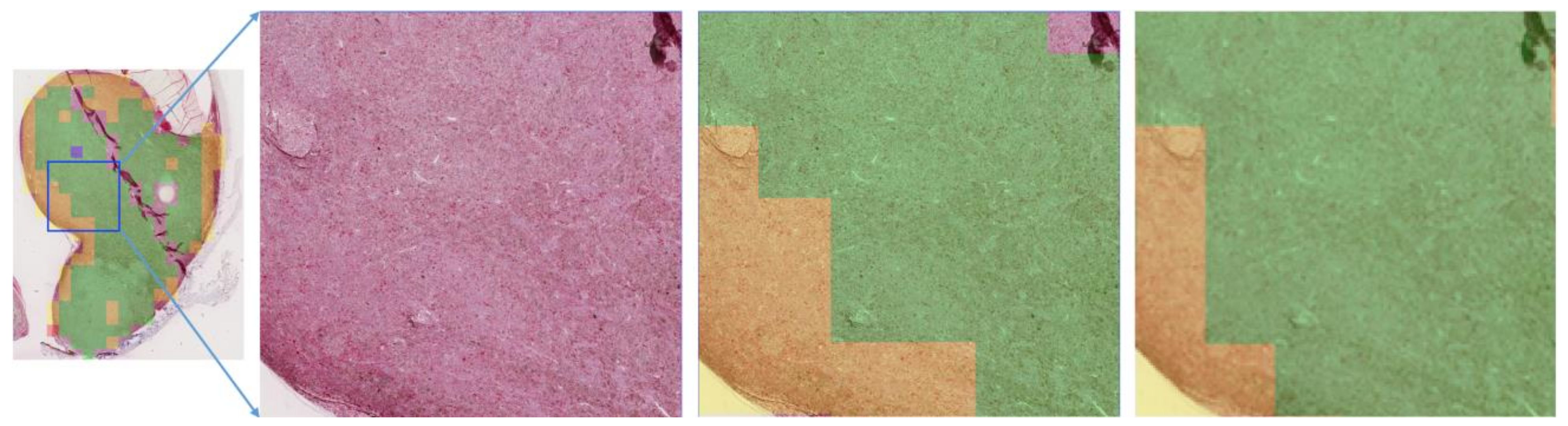 Cancers 11 01579 g008 Cancers 11 01579 g008