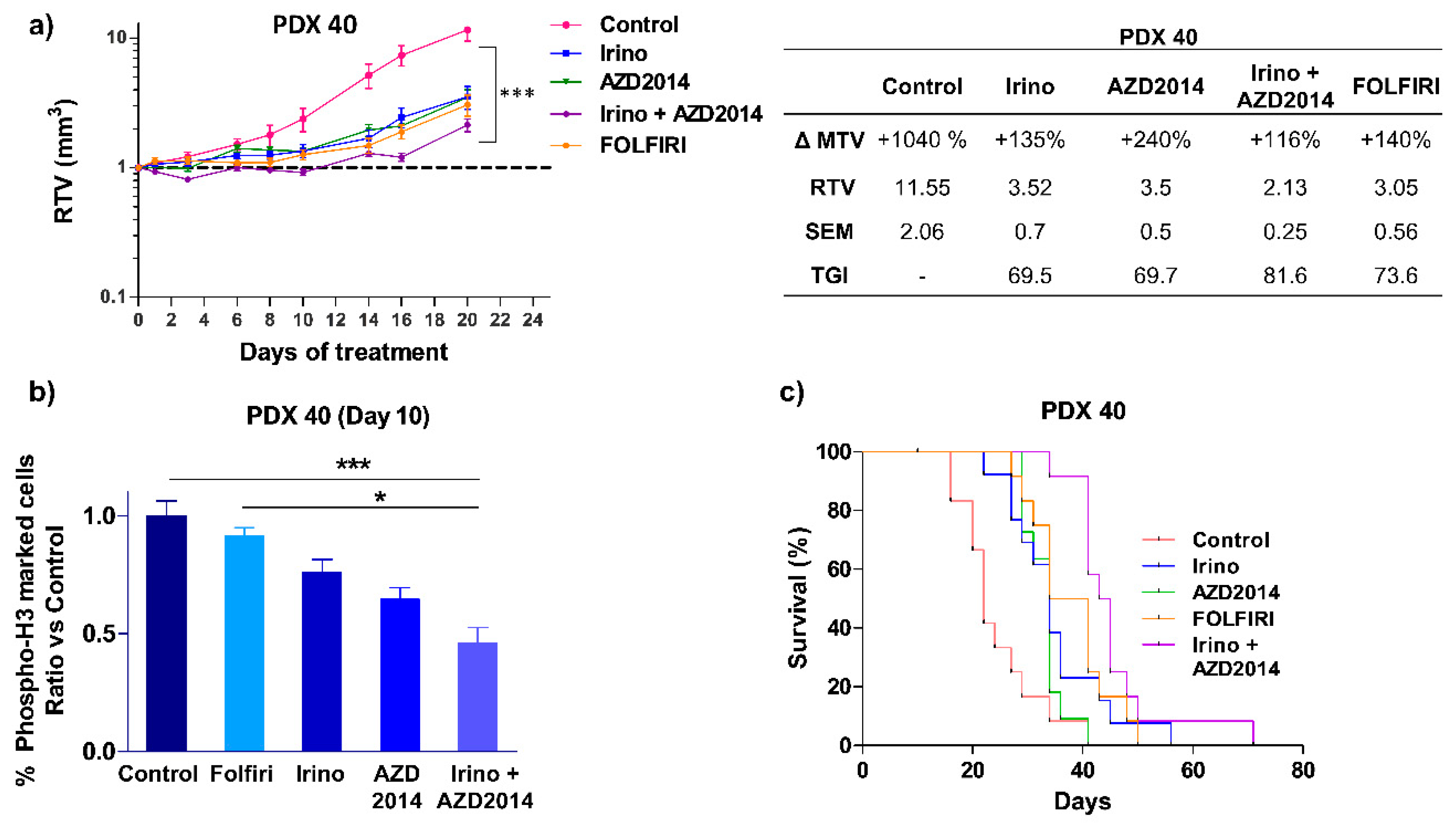 Cancers 11 01581 g005