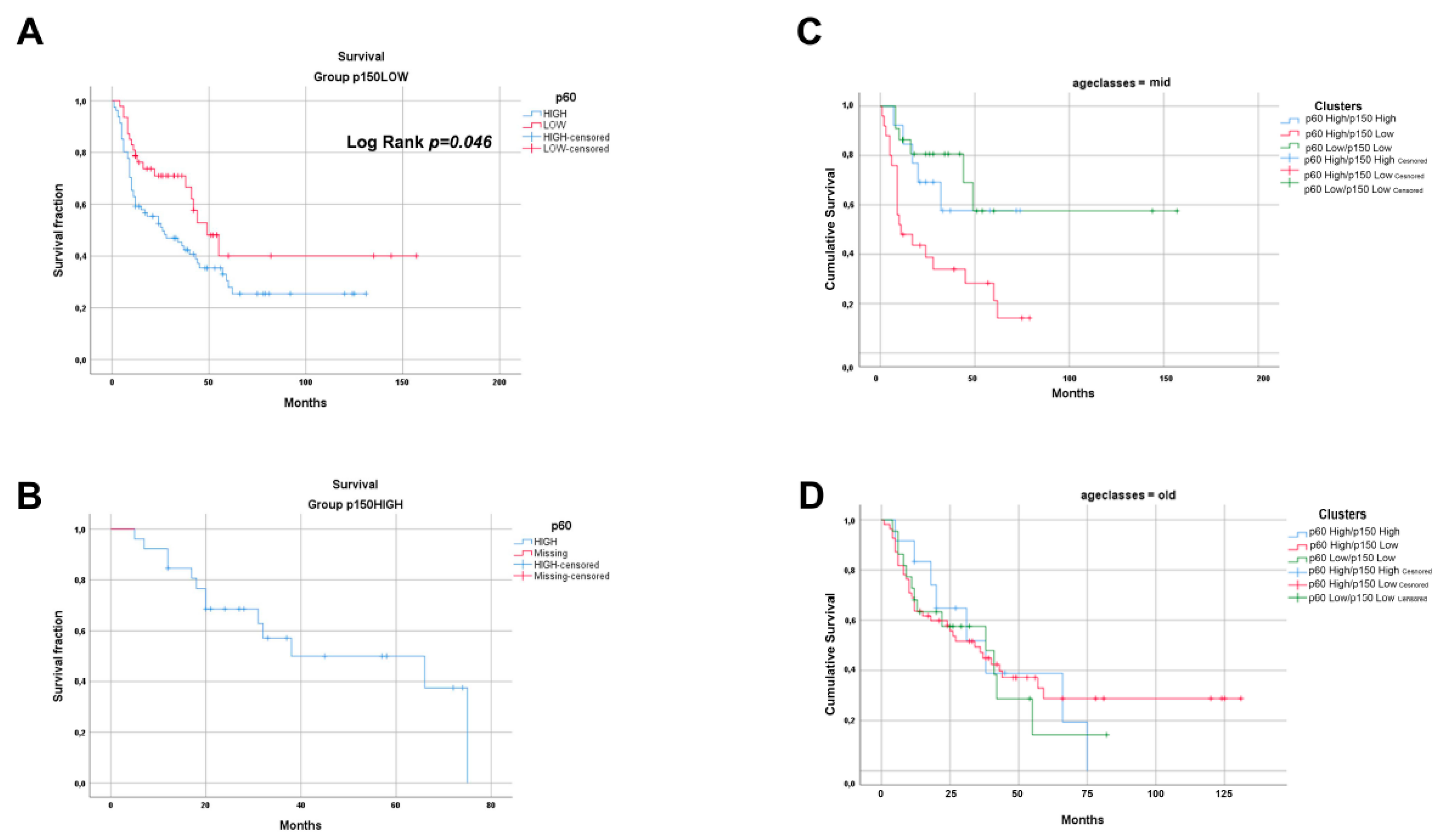 Cancers 11 01582 g002 Cancers 11 01582 g002