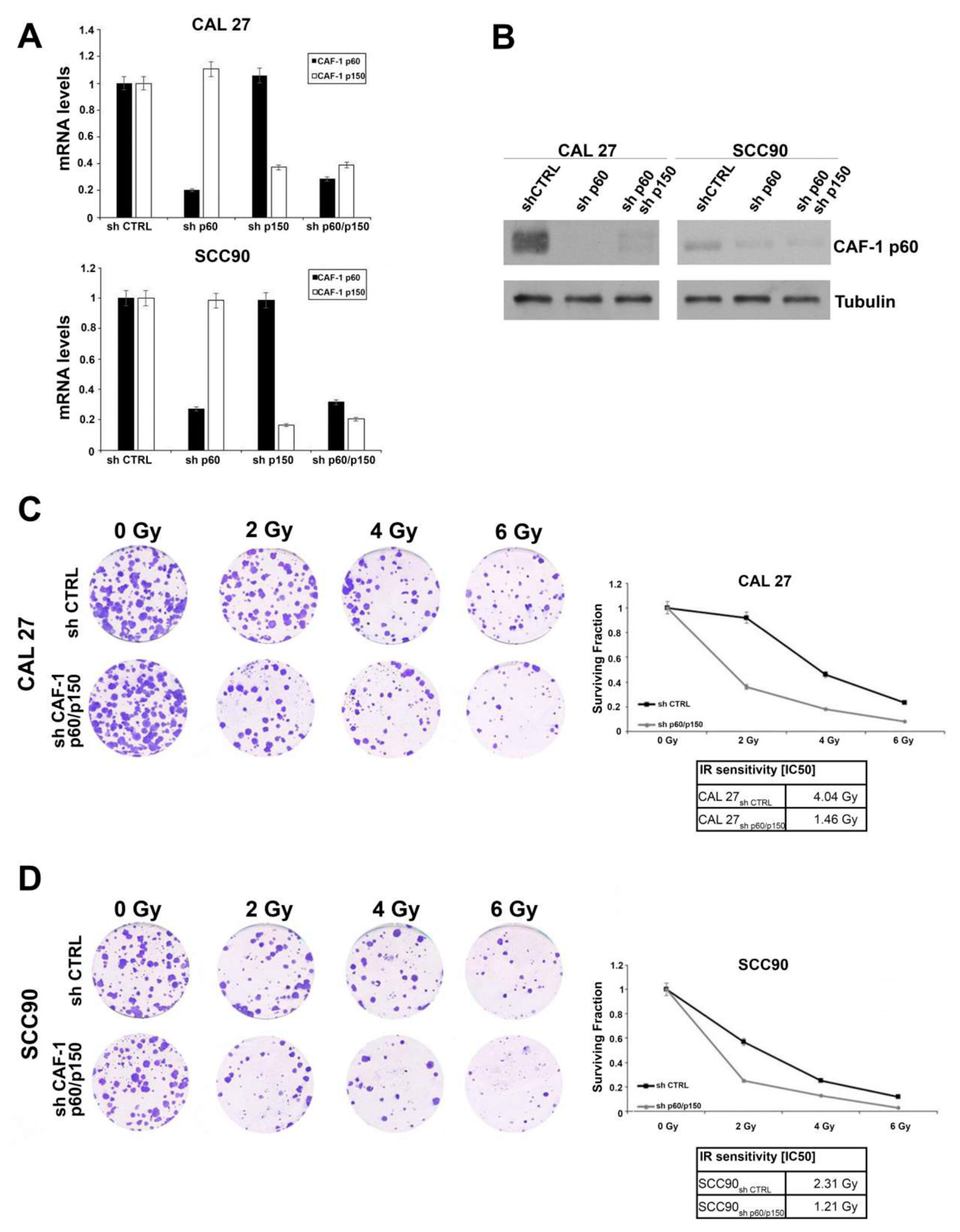 Cancers 11 01582 g003 Cancers 11 01582 g003