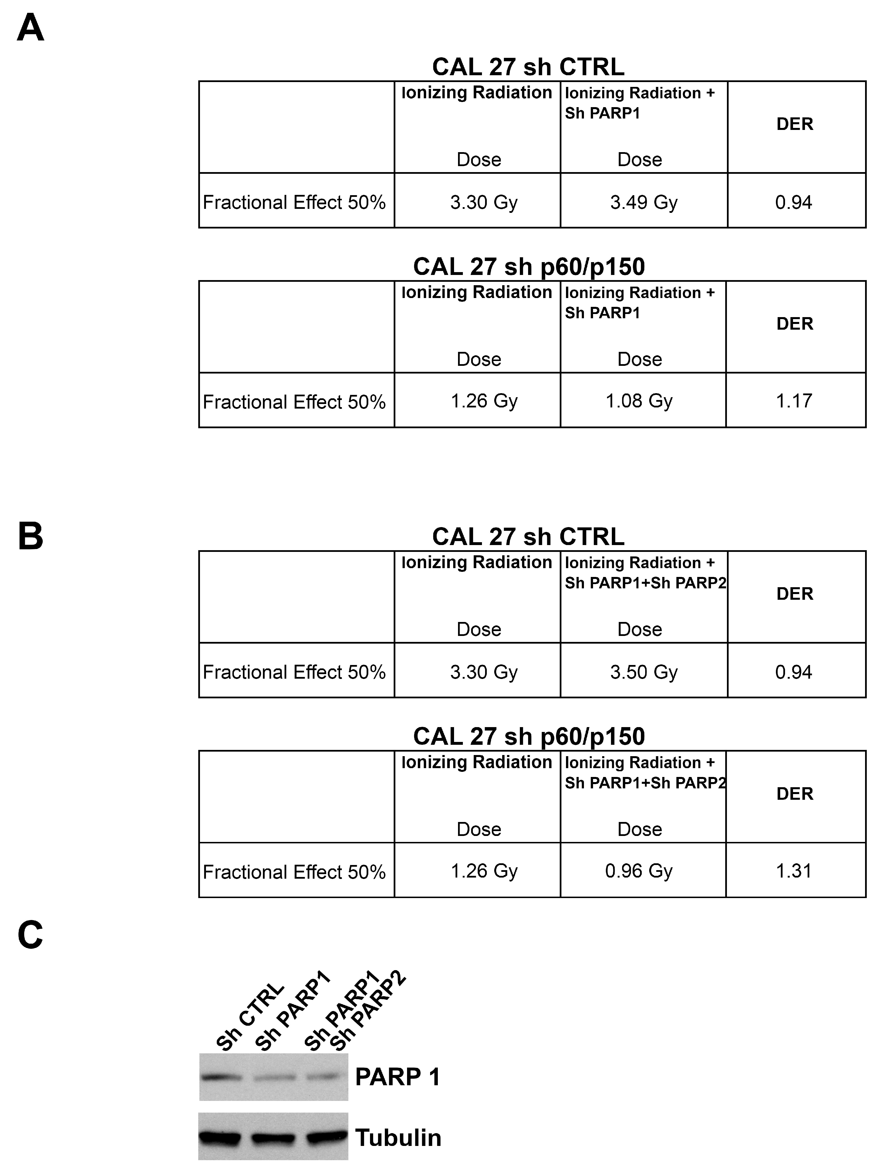 Cancers 11 01582 g005 Cancers 11 01582 g005