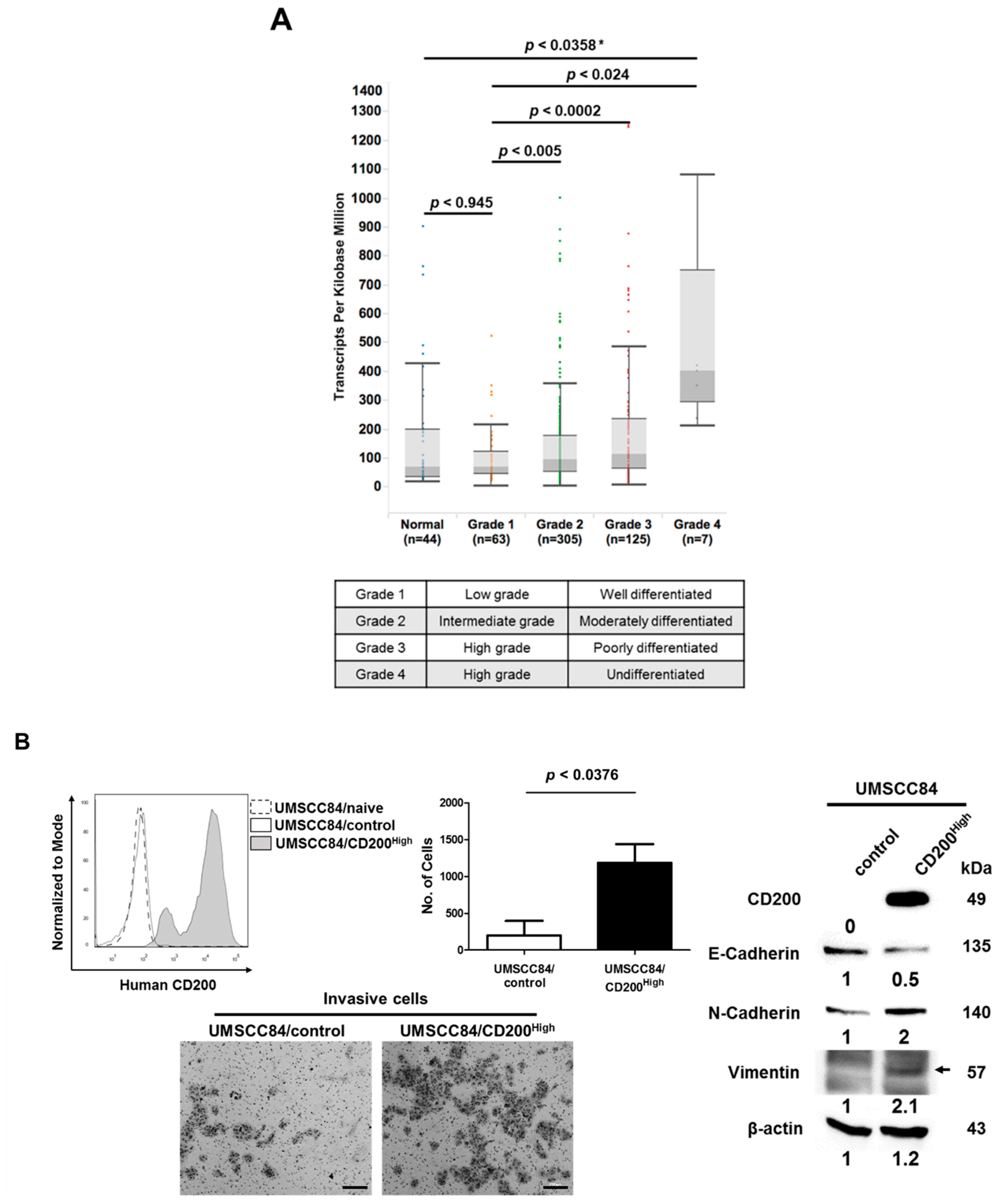 Cancers 11 01583 g001a Cancers 11 01583 g001a