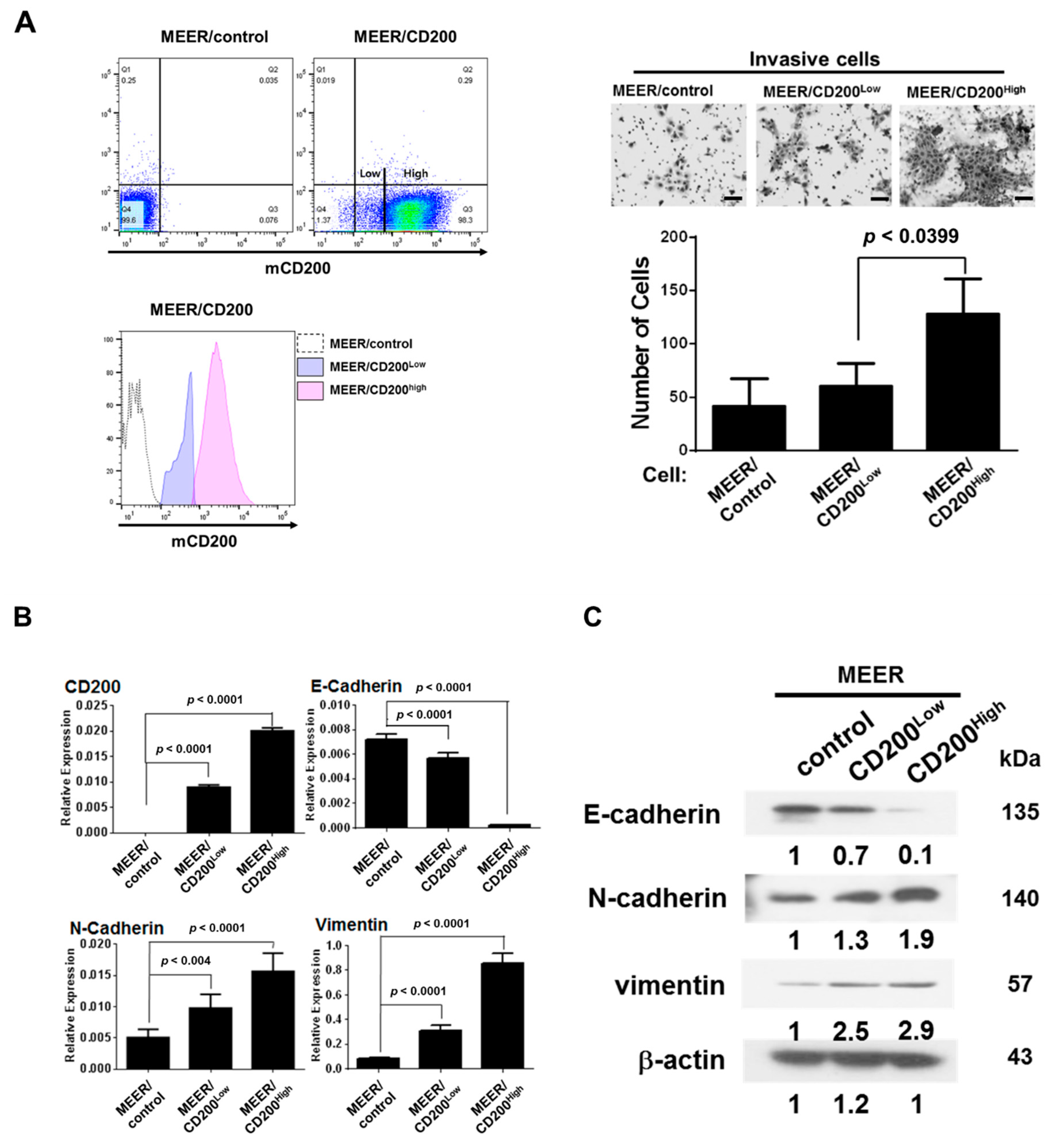 Cancers 11 01583 g002a Cancers 11 01583 g002a