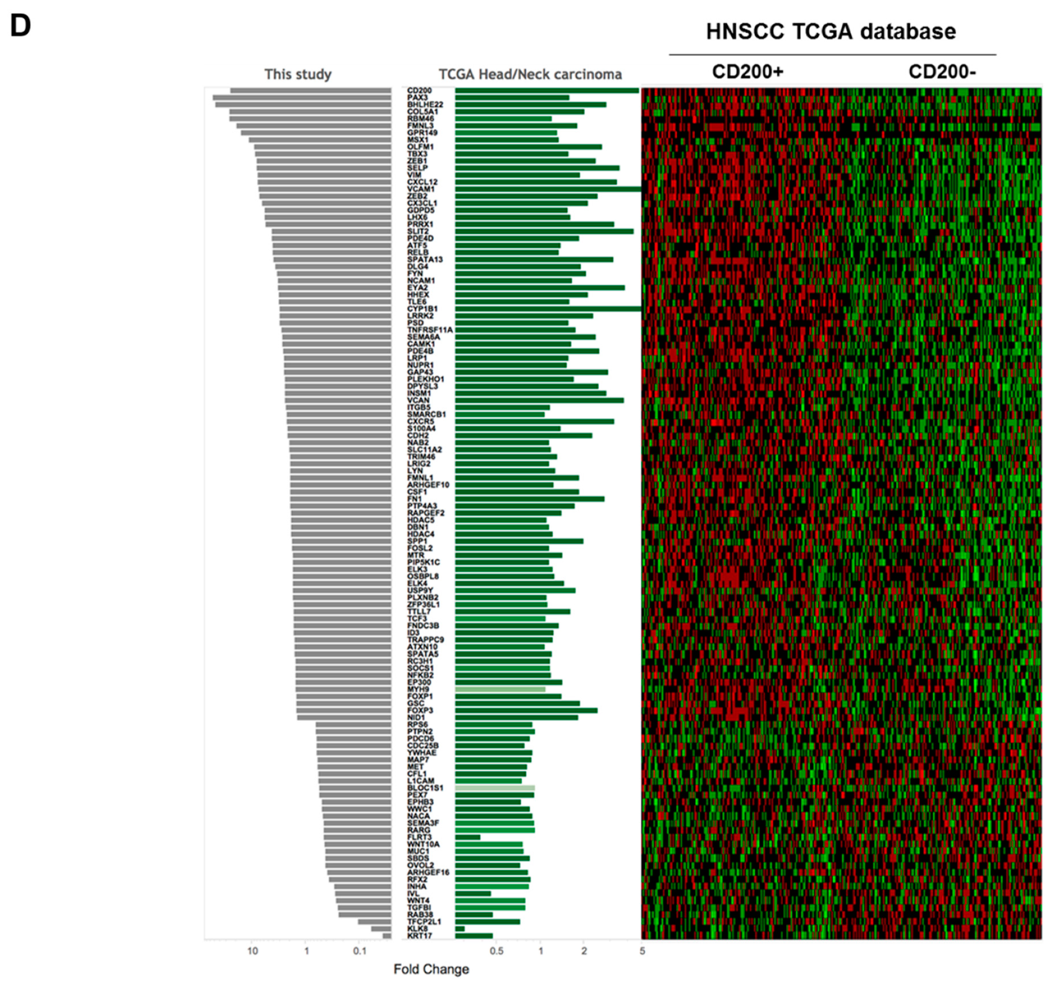 Cancers 11 01583 g002b Cancers 11 01583 g002b