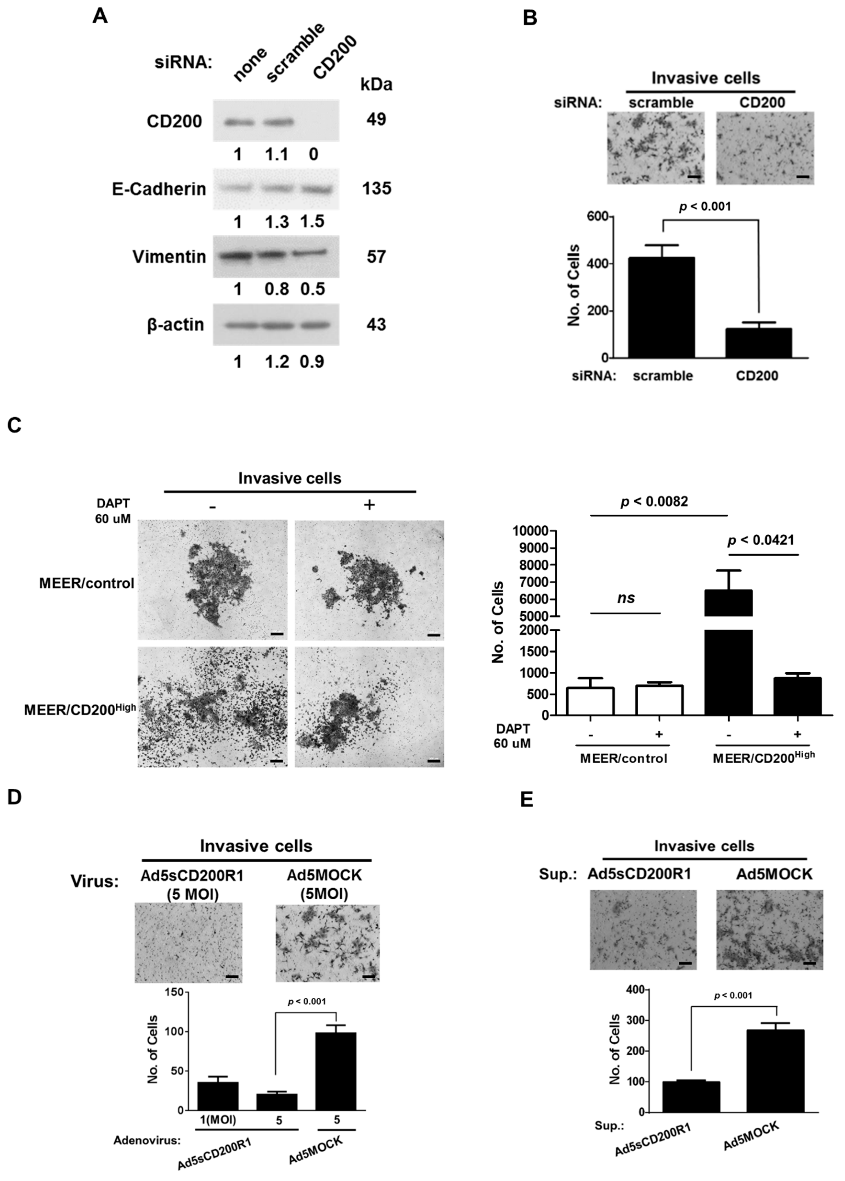 Cancers 11 01583 g003 Cancers 11 01583 g003