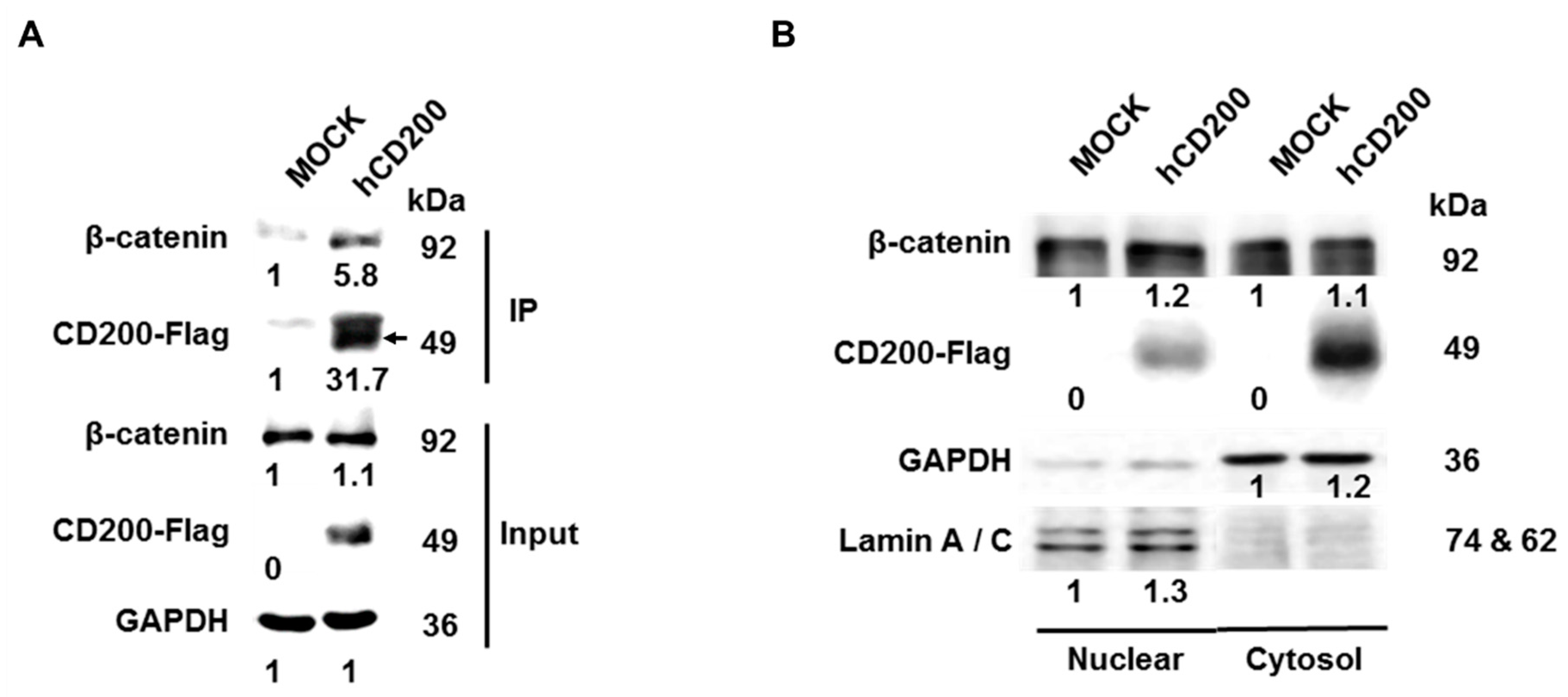 Cancers 11 01583 g004a Cancers 11 01583 g004a