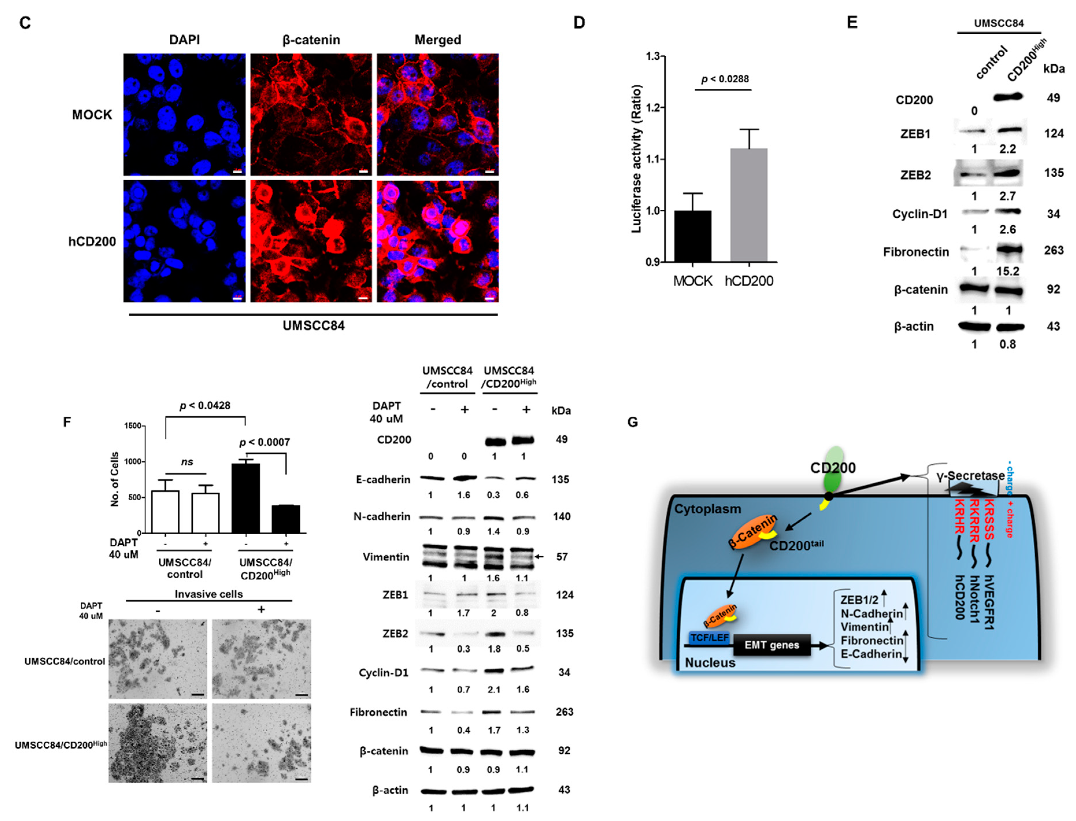 Cancers 11 01583 g004b Cancers 11 01583 g004b