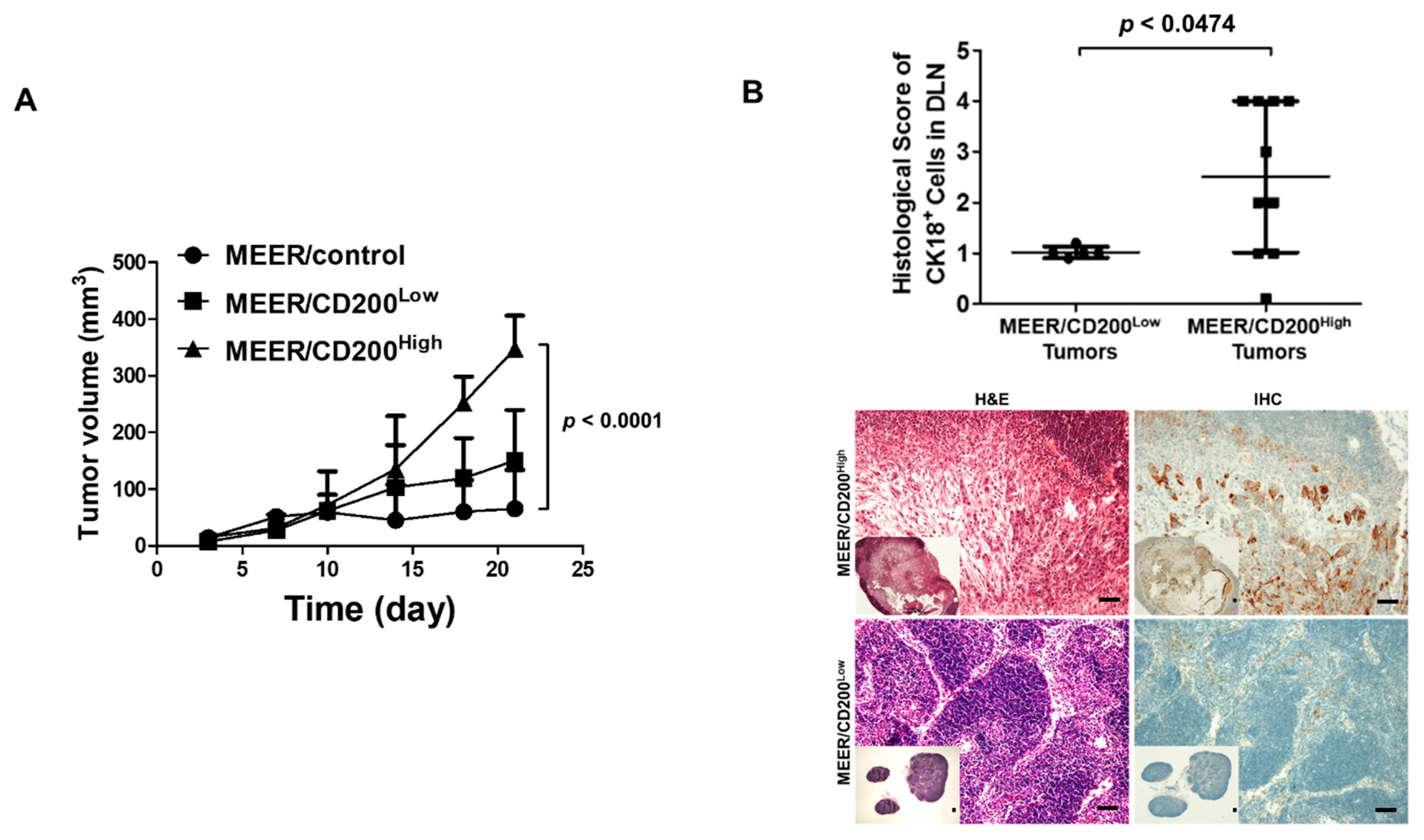Cancers 11 01583 g005 Cancers 11 01583 g005