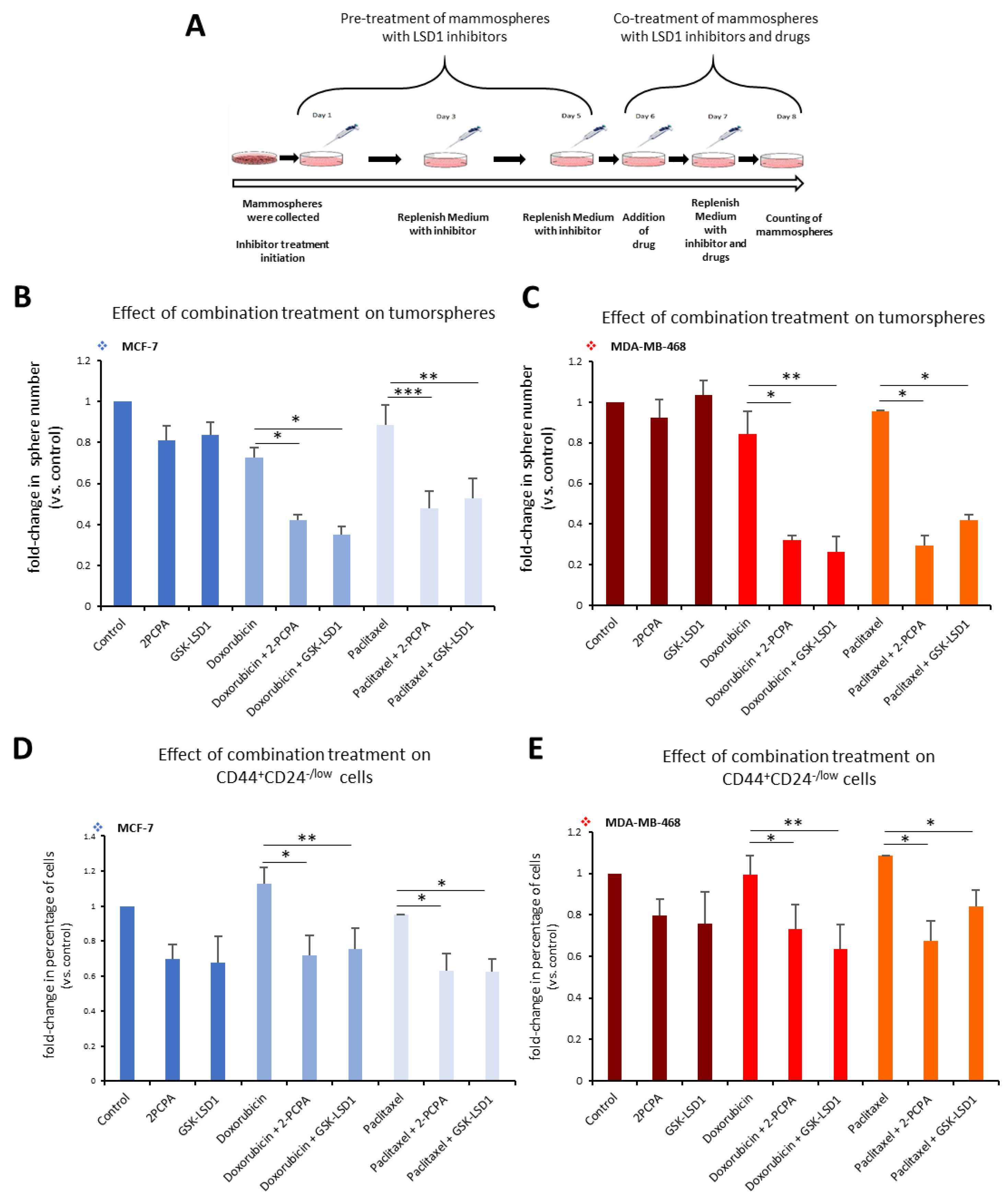 Cancers 11 01585 g006