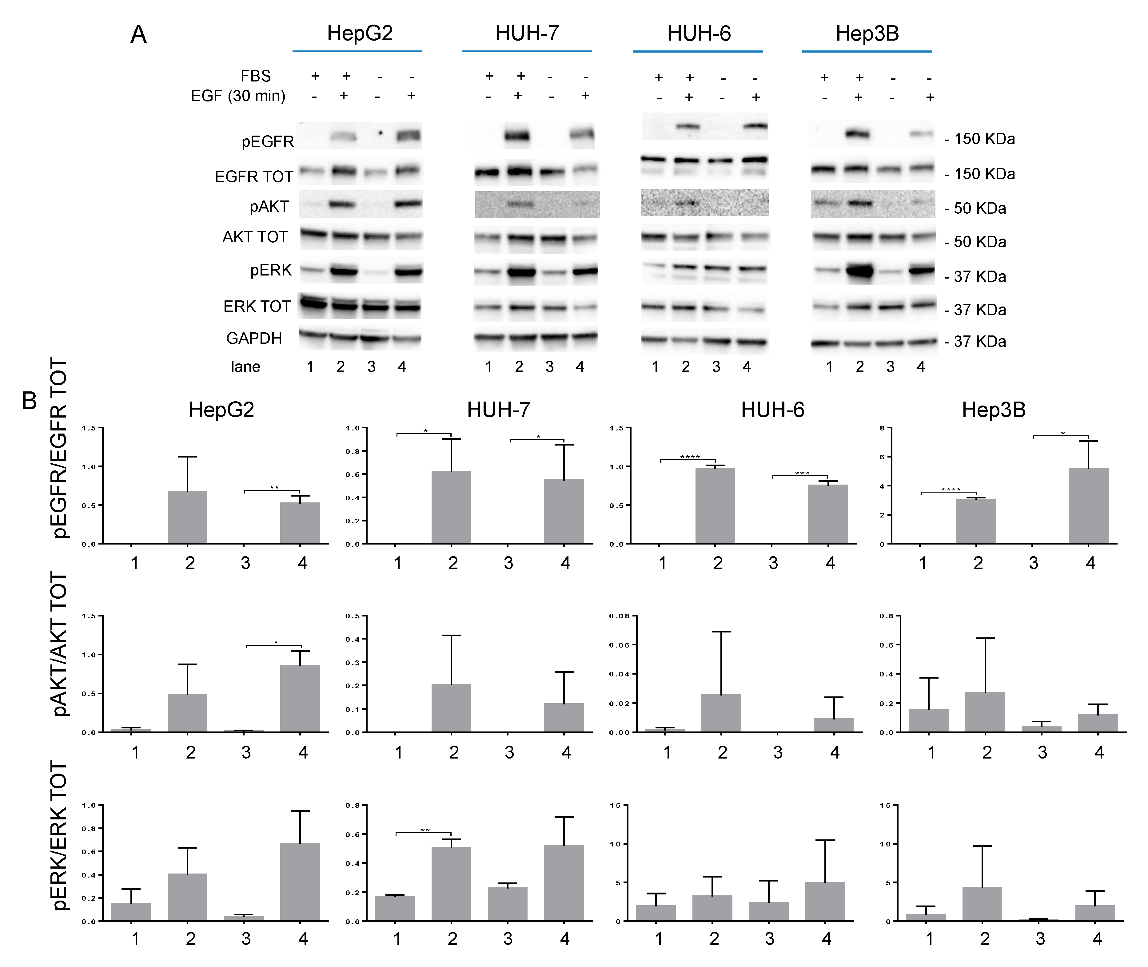 Cancers 11 01588 g001 Cancers 11 01588 g001