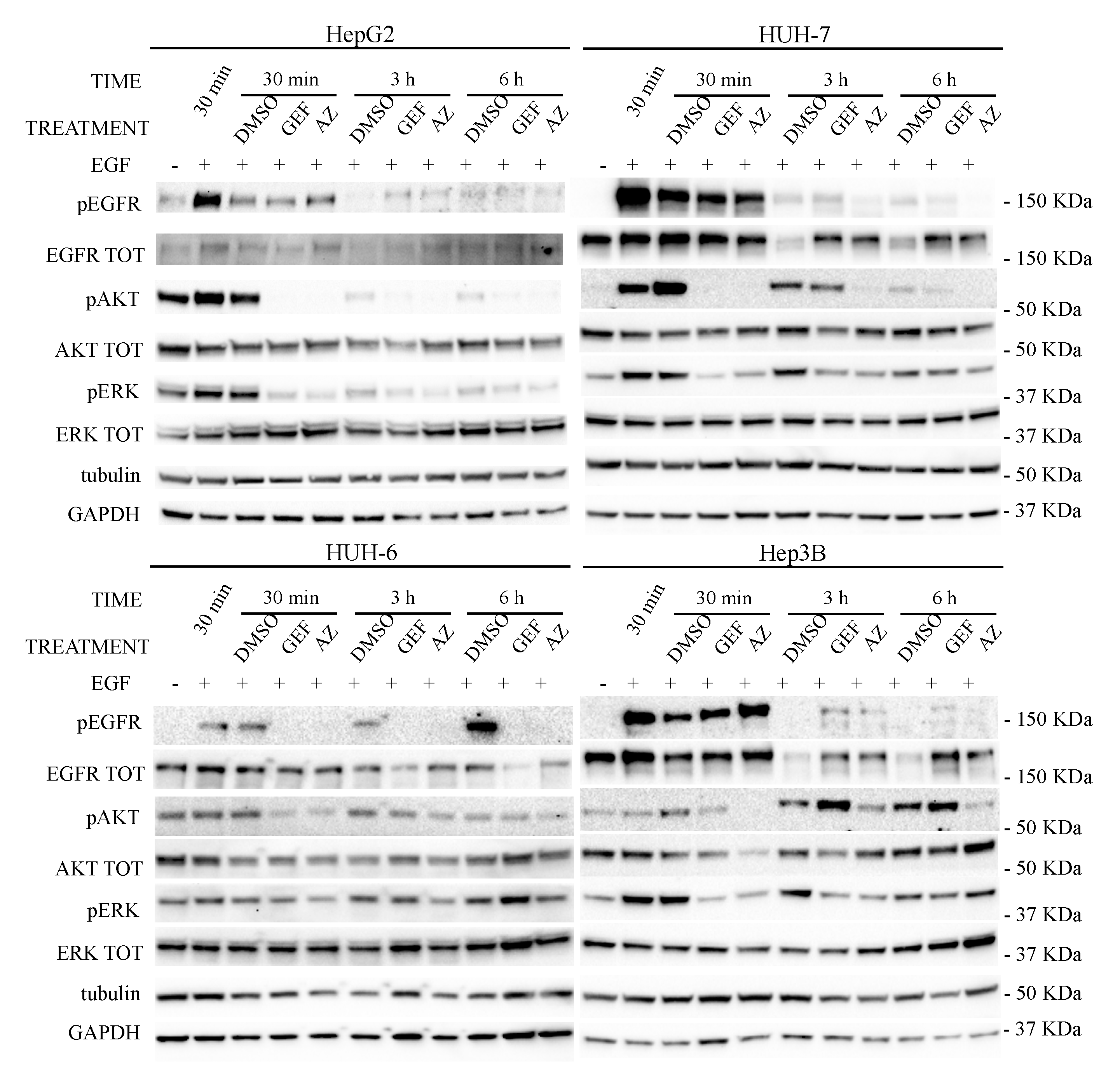 Cancers 11 01588 g003 Cancers 11 01588 g003