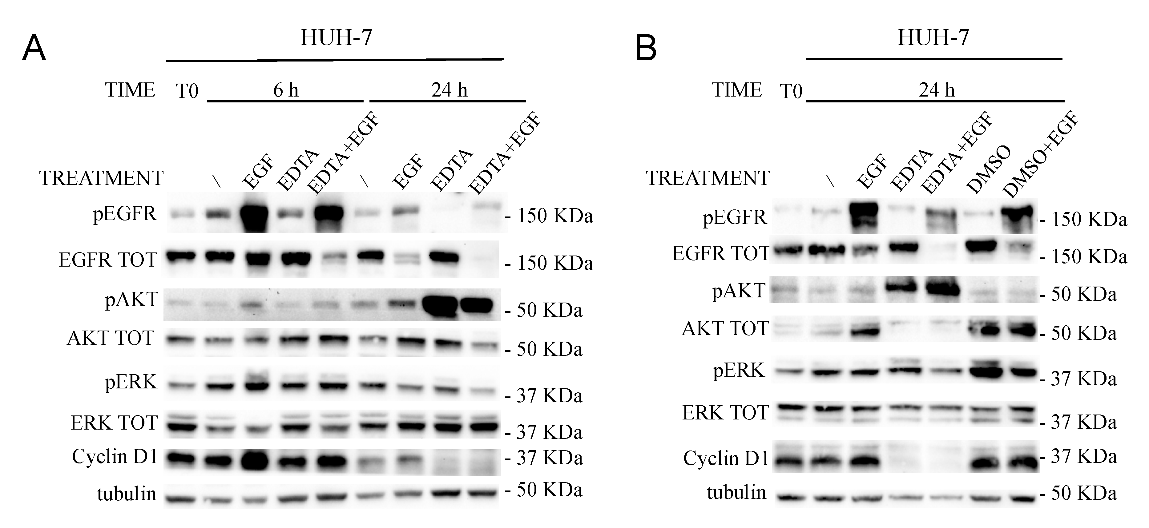 Cancers 11 01588 g006 Cancers 11 01588 g006