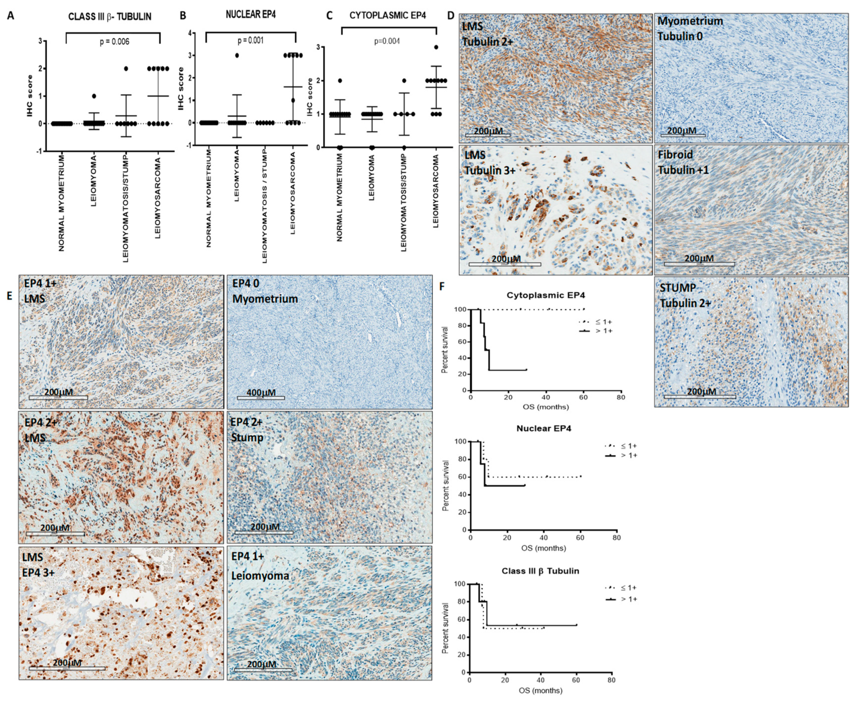 Cancers 11 01590 g003