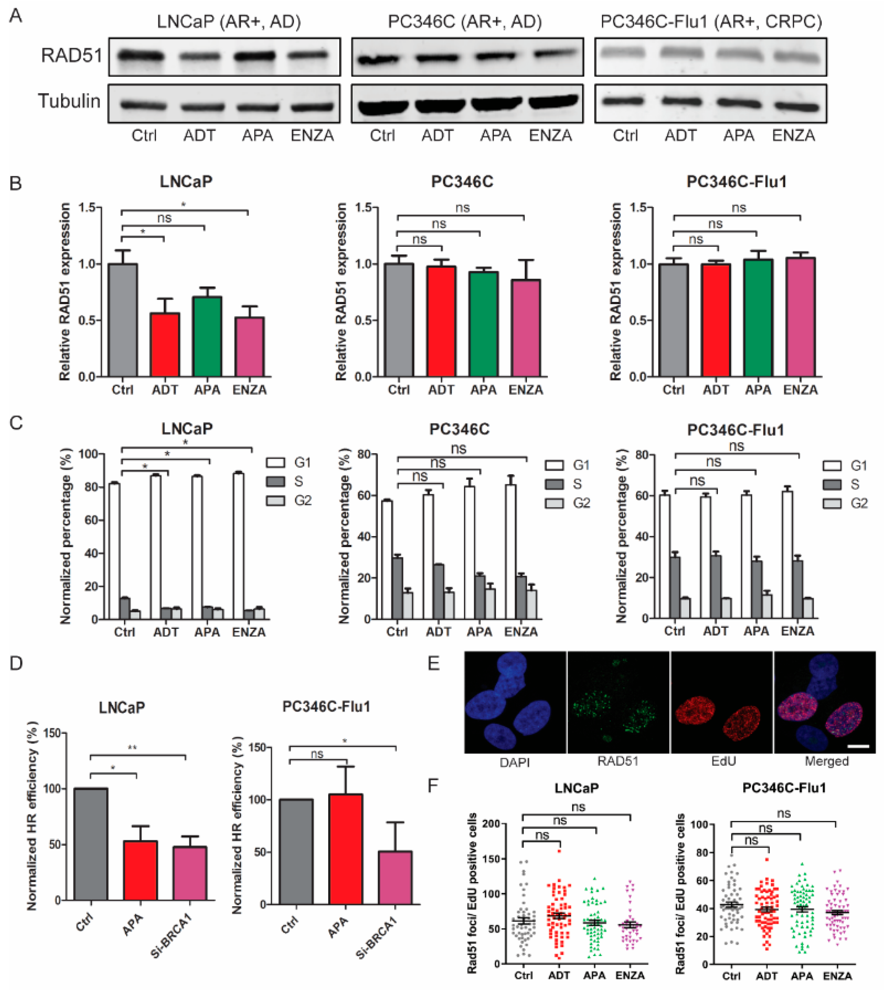 Cancers 11 01593 g004
