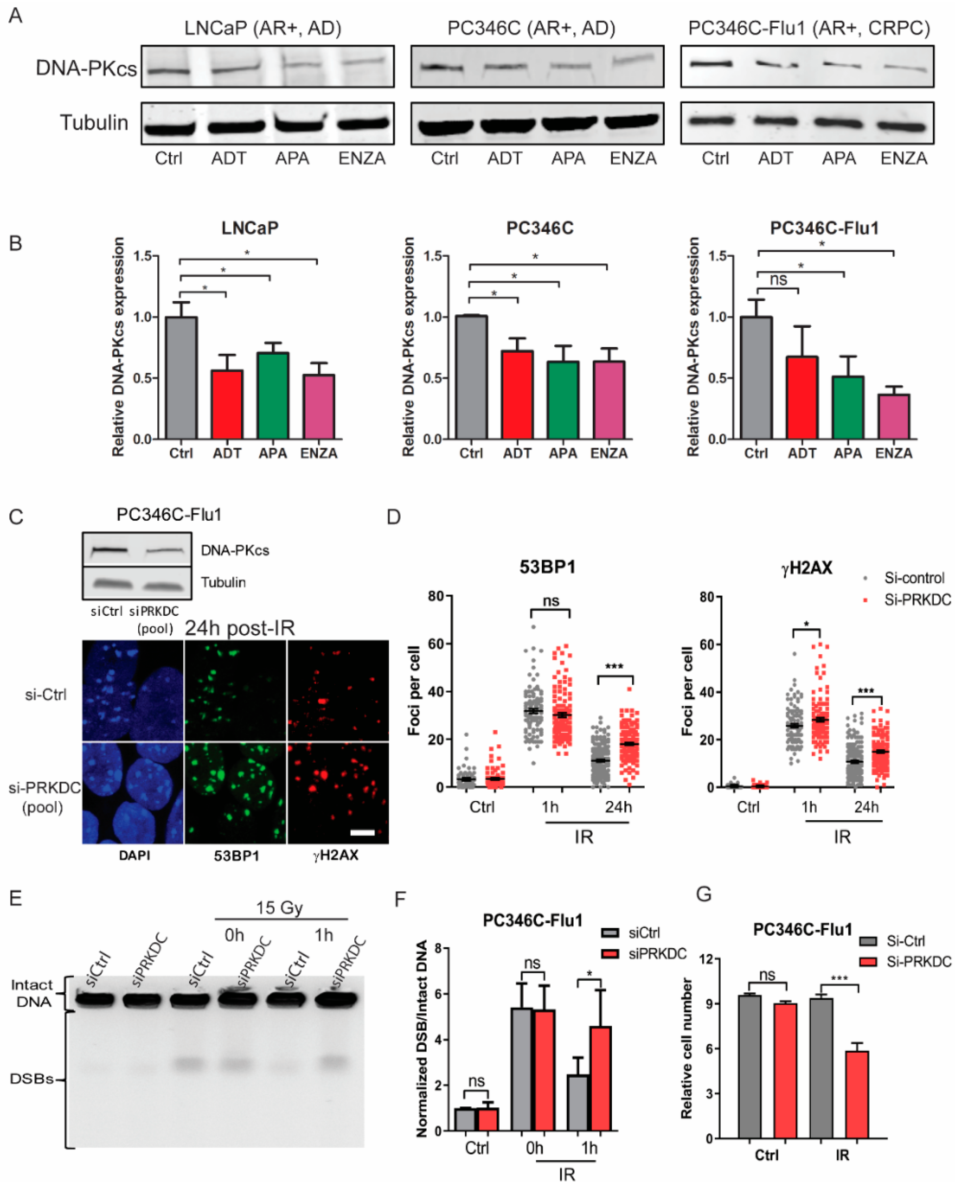 Cancers 11 01593 g005