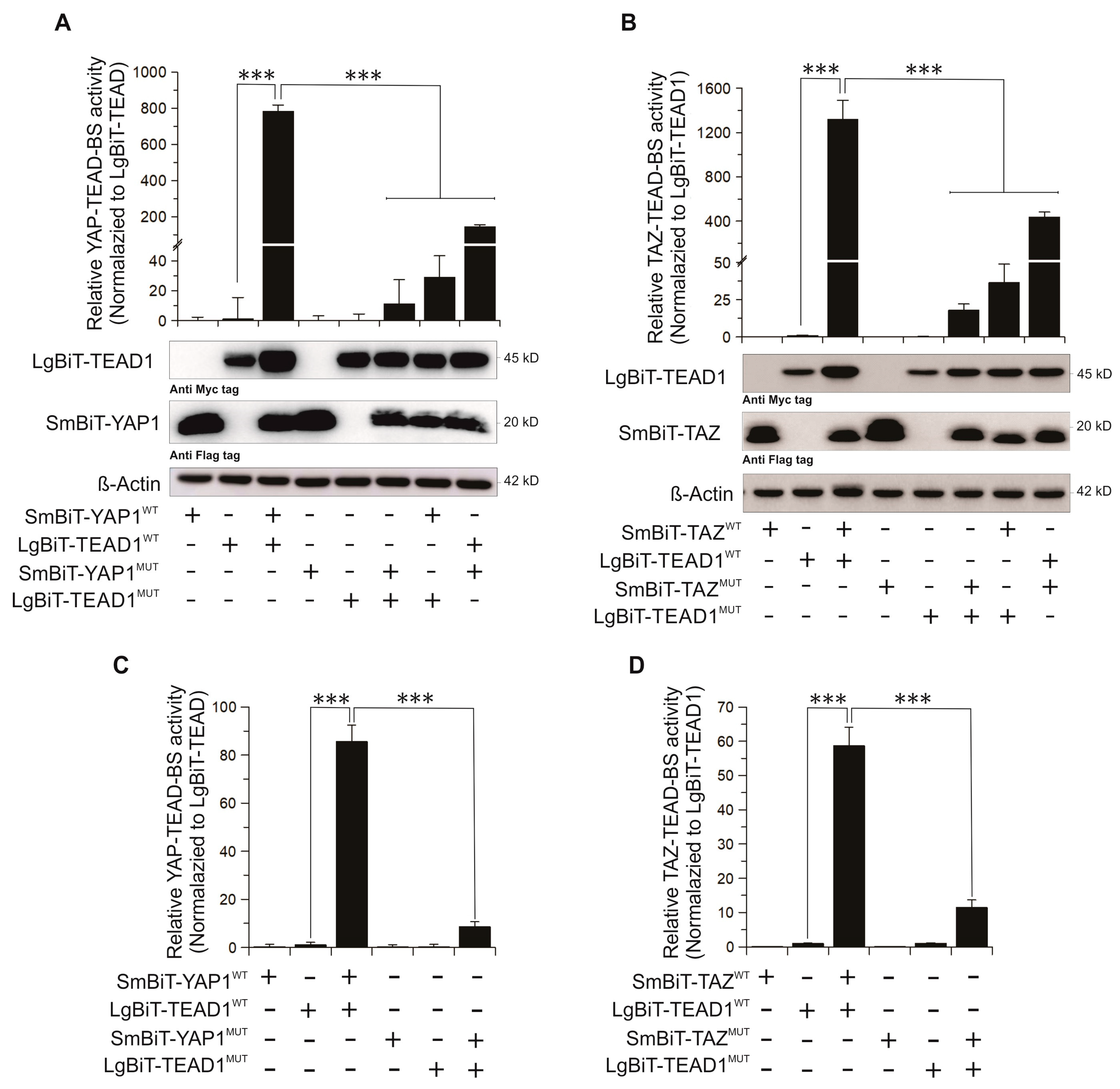 Cancers 11 01596 g002 Cancers 11 01596 g002