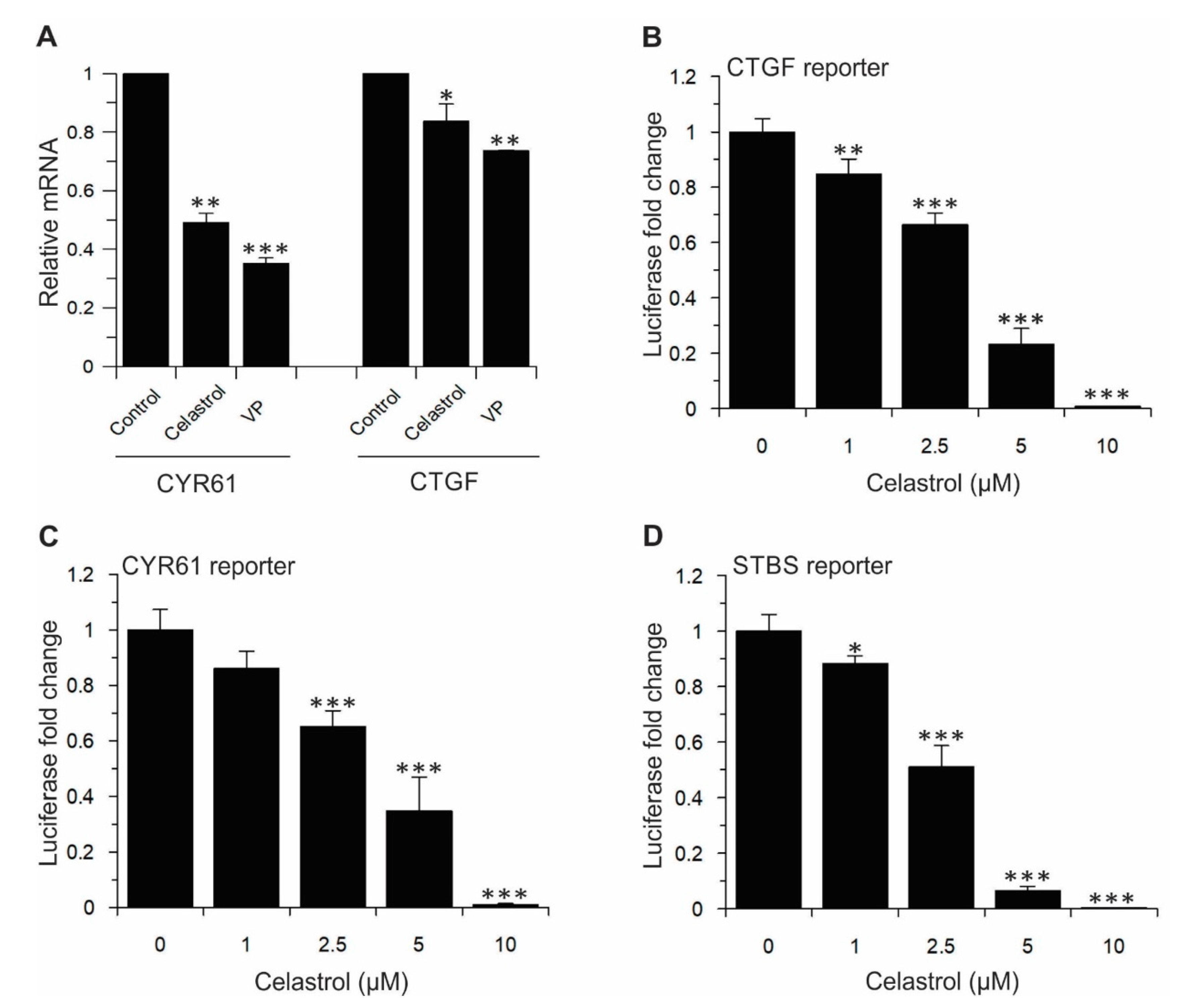 Cancers 11 01596 g007 Cancers 11 01596 g007